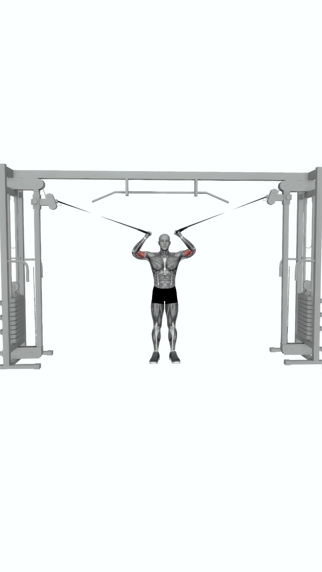 Cable Overhead Curl