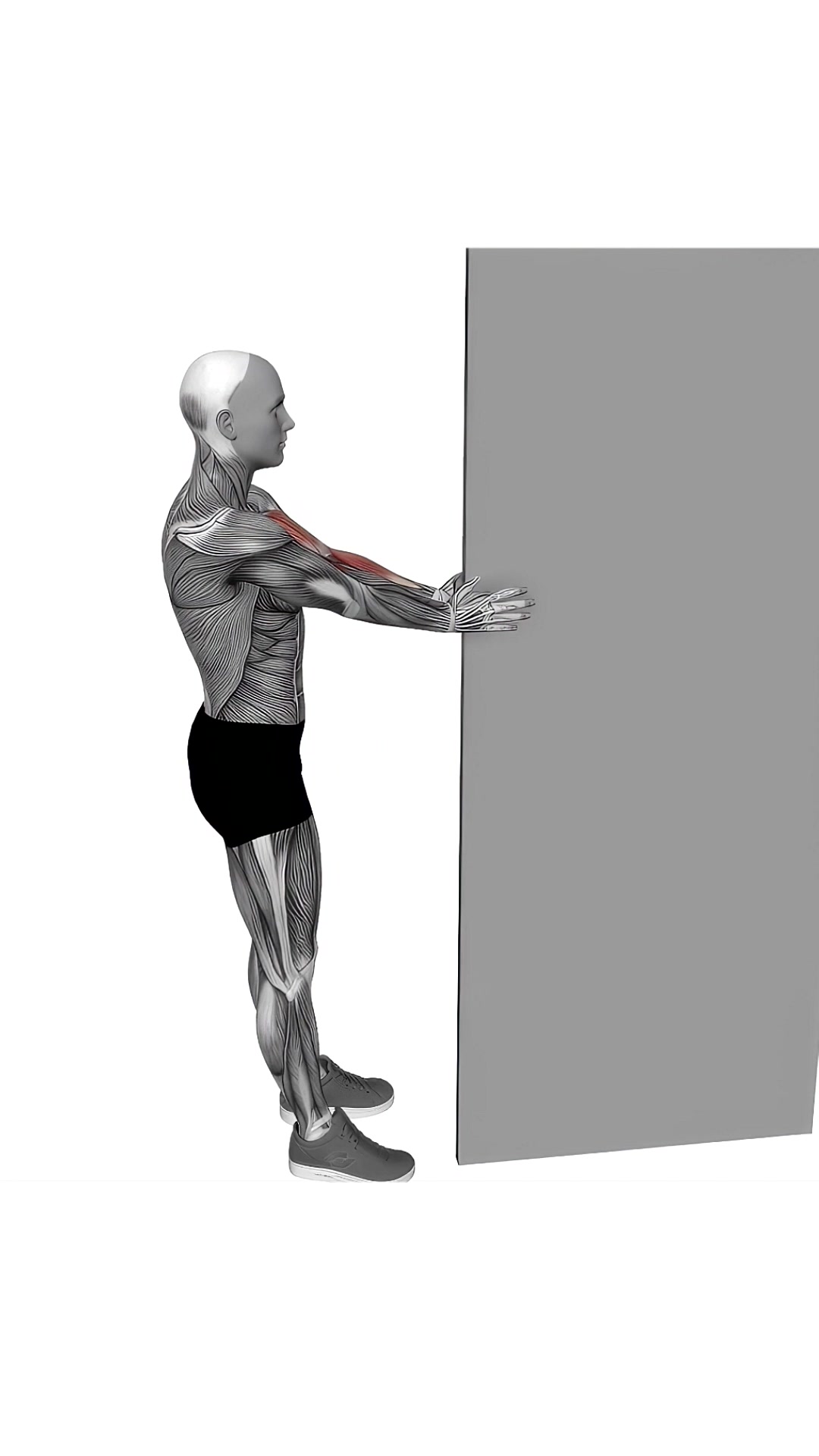 Doorway Biceps Curl