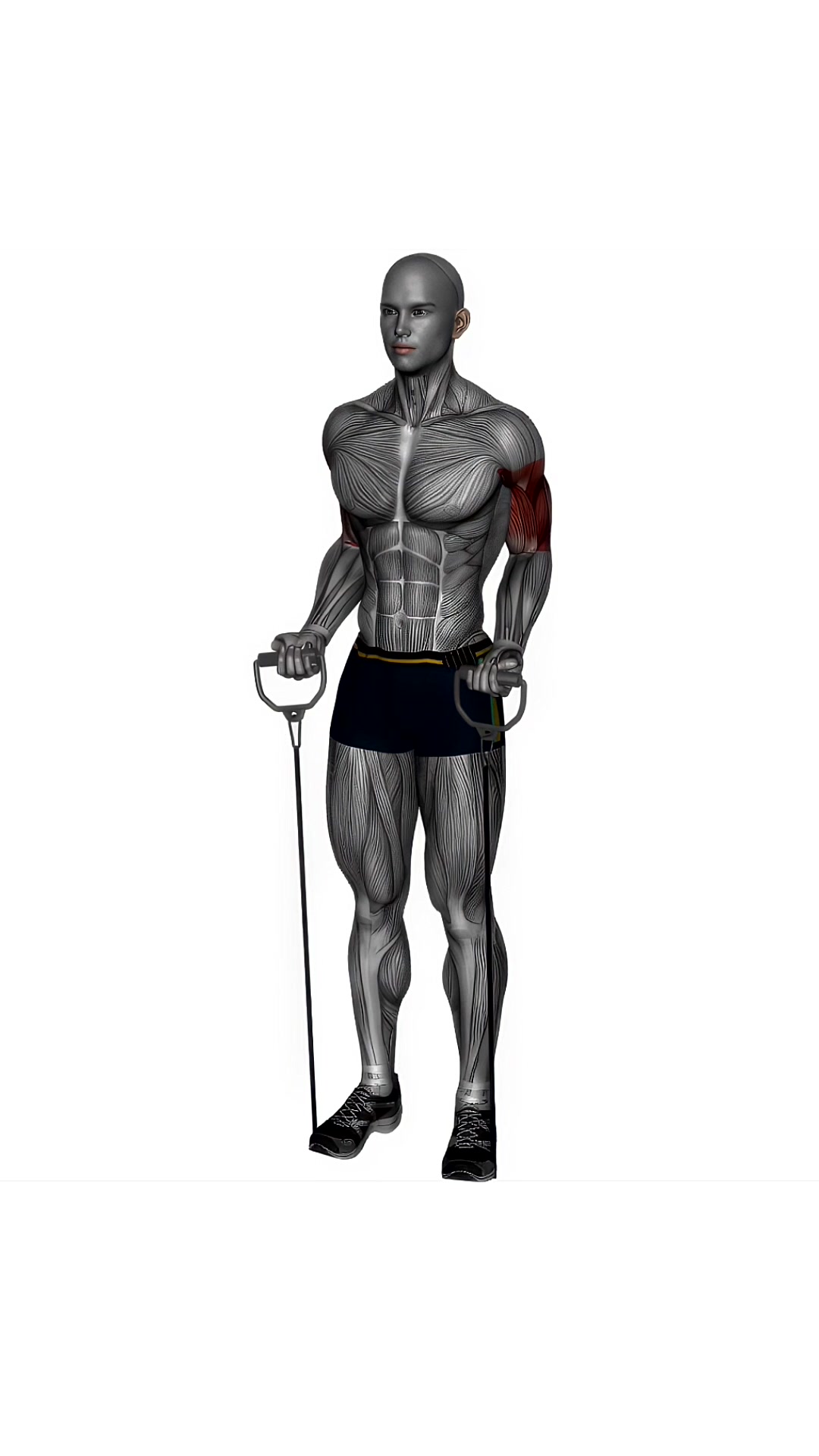 Drag Curl Resistance Band