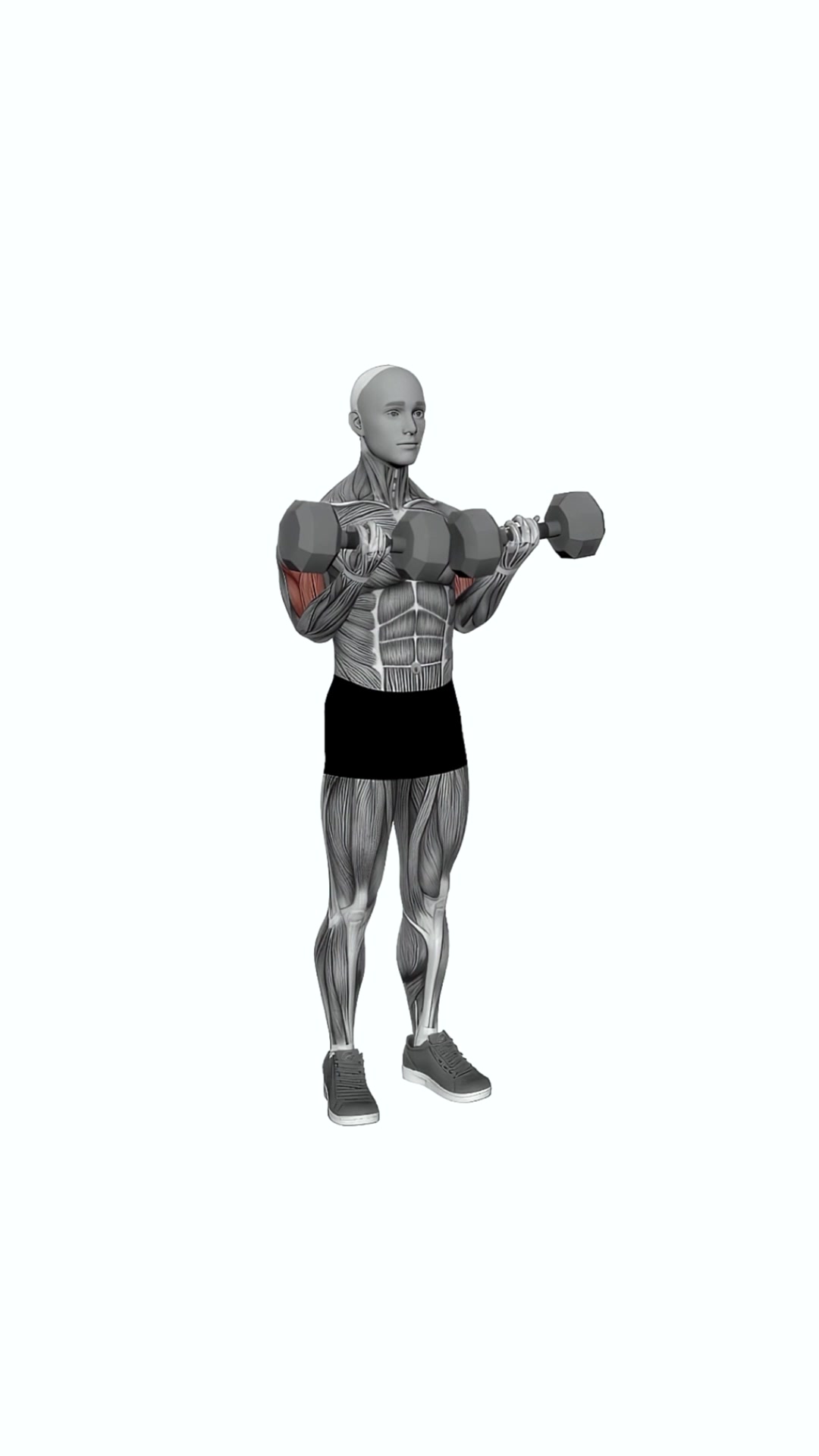 Dumbbell Close-grip Simultaneous Curl