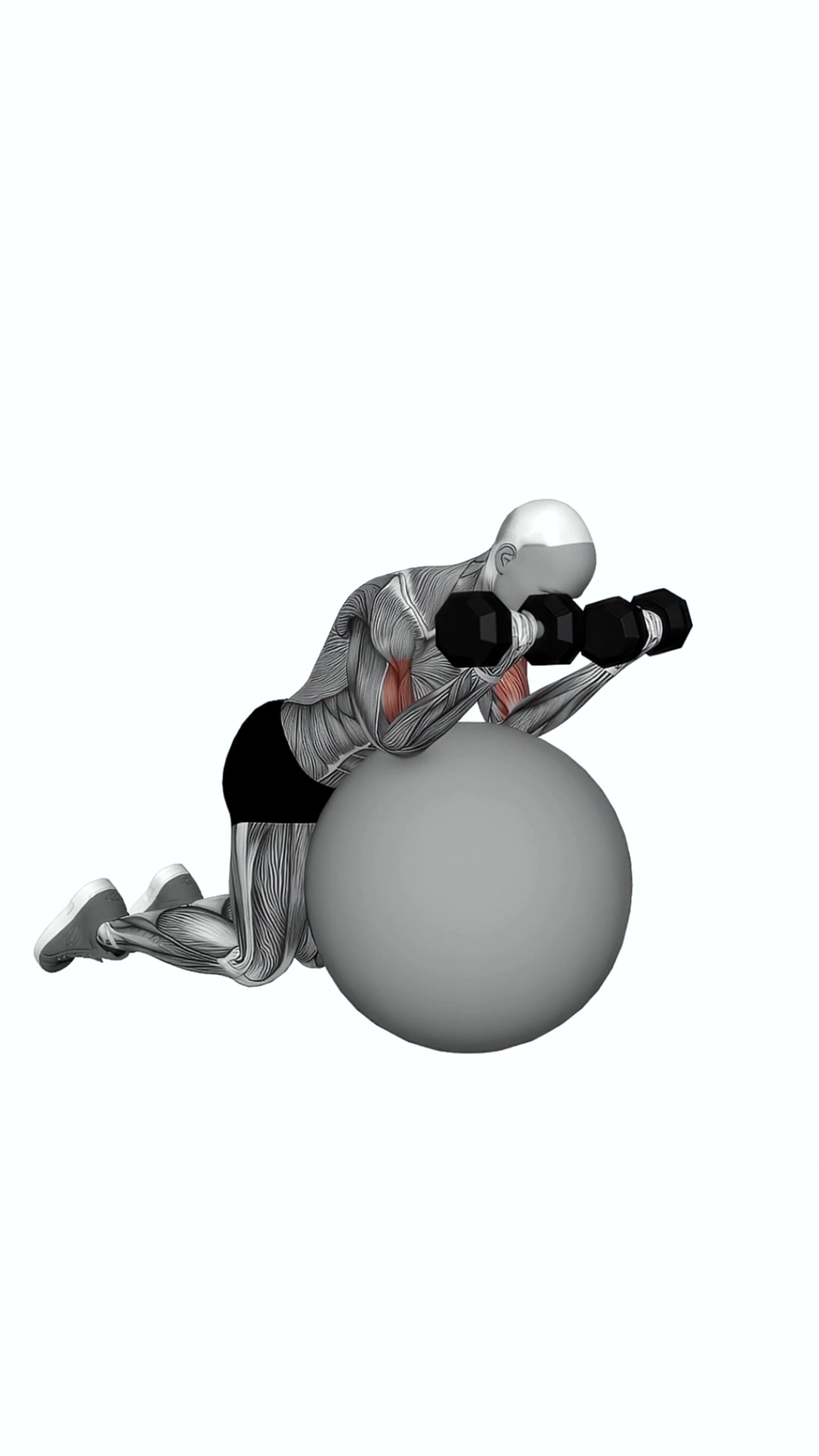 Dumbbell Preacher Curl Over Exercise Ball