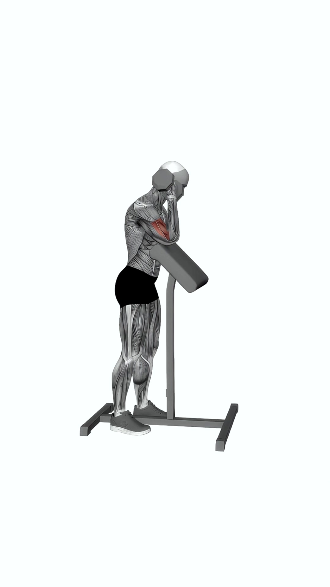 Dumbbell Standing Preacher Curl