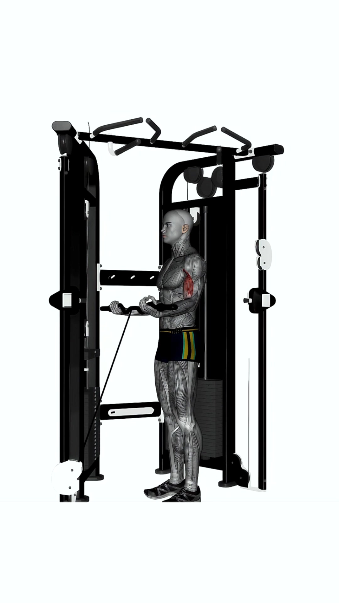 Ez Bar Cable Curl Wide Grip Crossover Machine