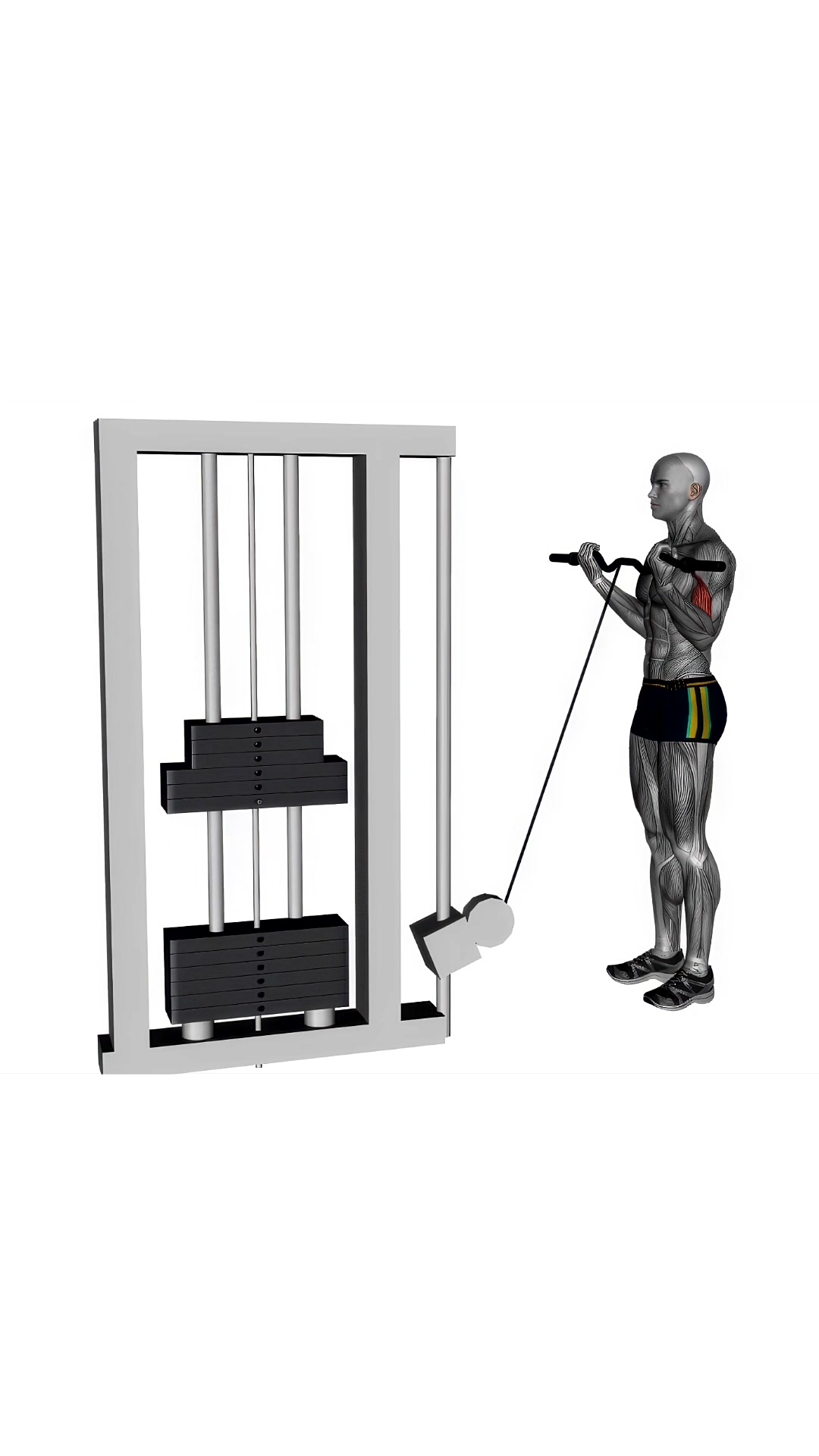 Ez Bar Cable Curl Wide Grip