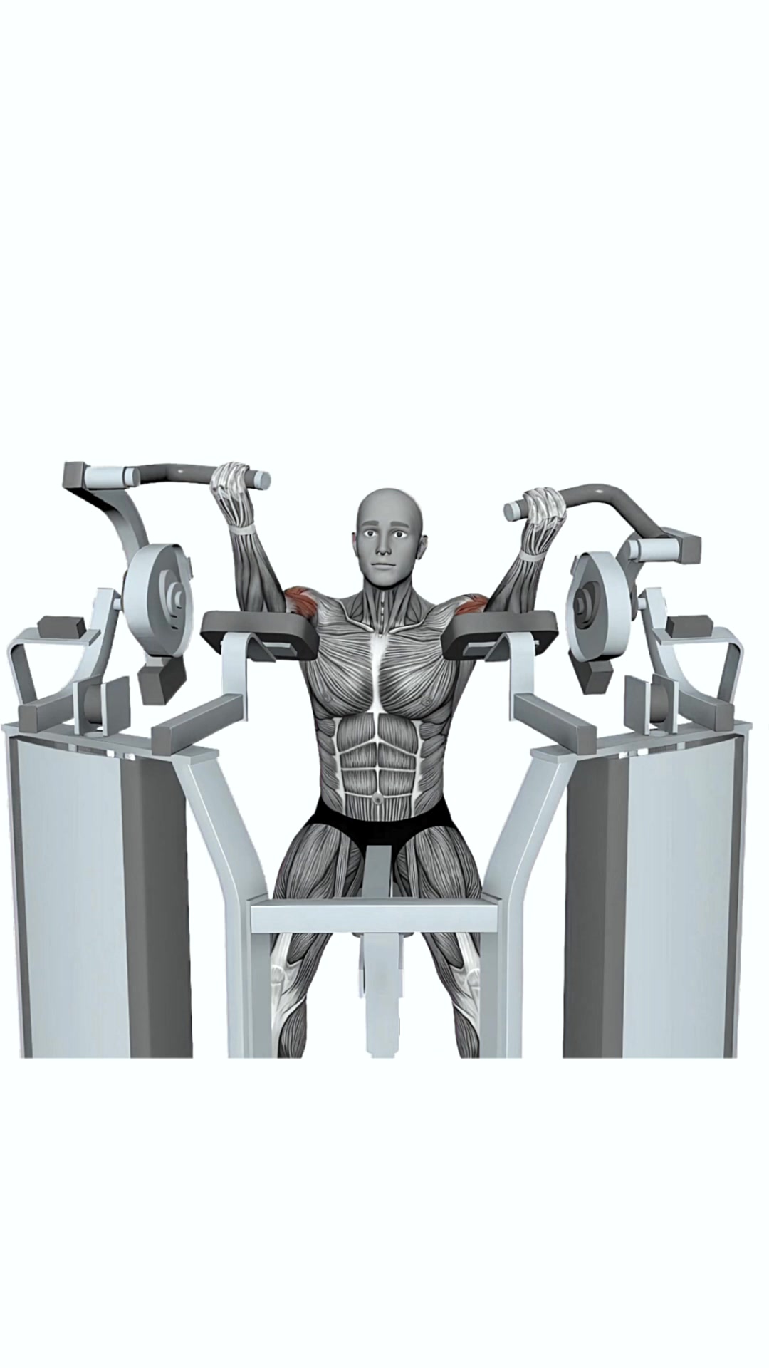 Hammer Strength Mts Iso-lateral Biceps Curl Arm Alternating