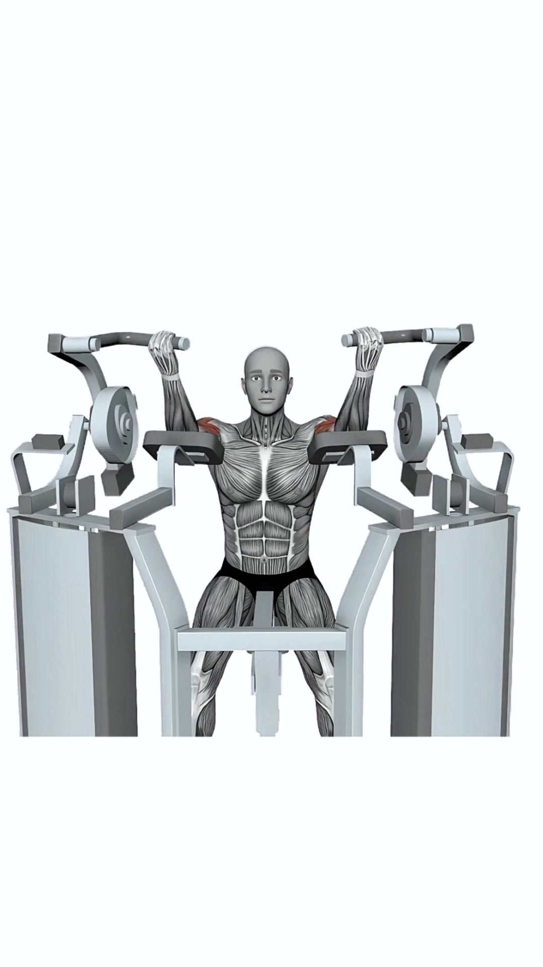 Hammer Strength Mts Iso-lateral Biceps Curl Both Arm