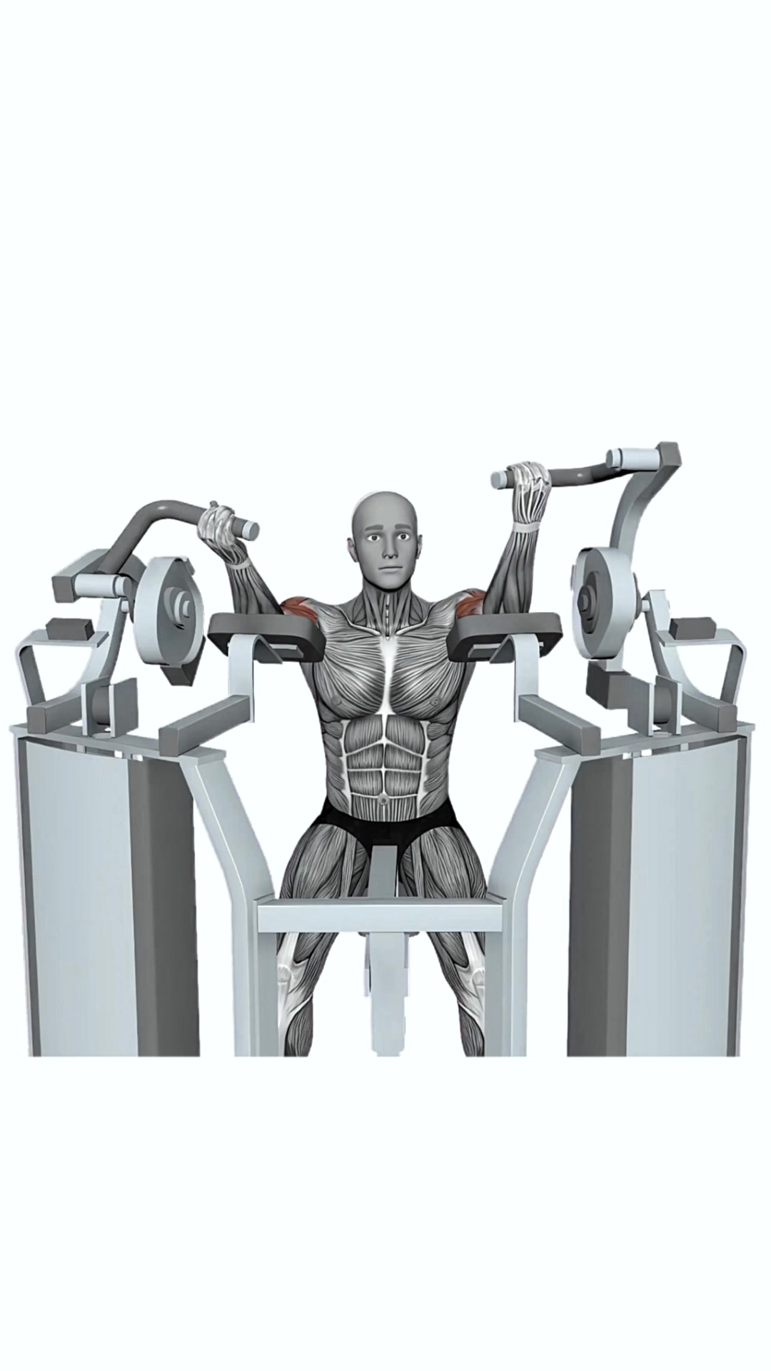 Hammer Strength Mts Iso-lateral Biceps Curl Single Arm