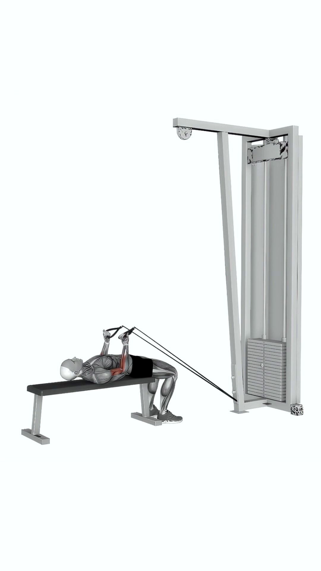 Low Resistance Band Lying Bicep Curl Half Repetition