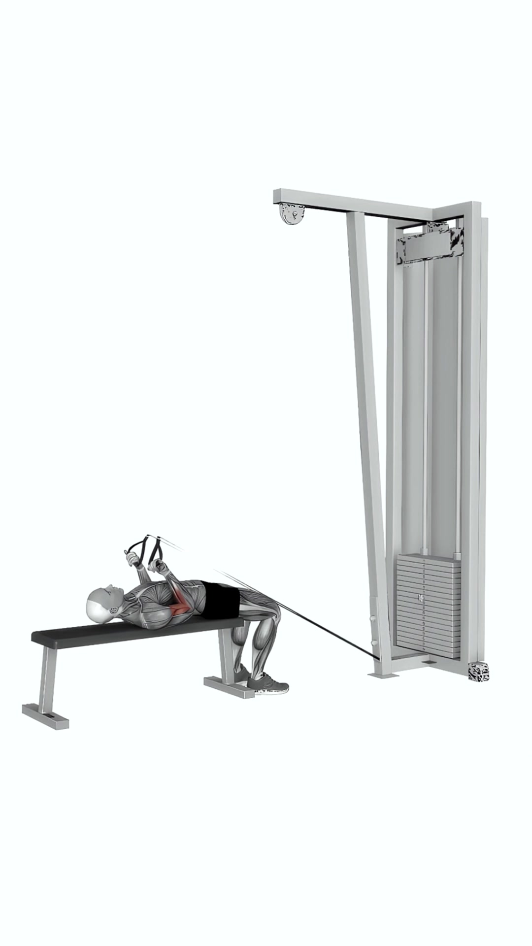 Low Resistance Band Lying Bicep Curl