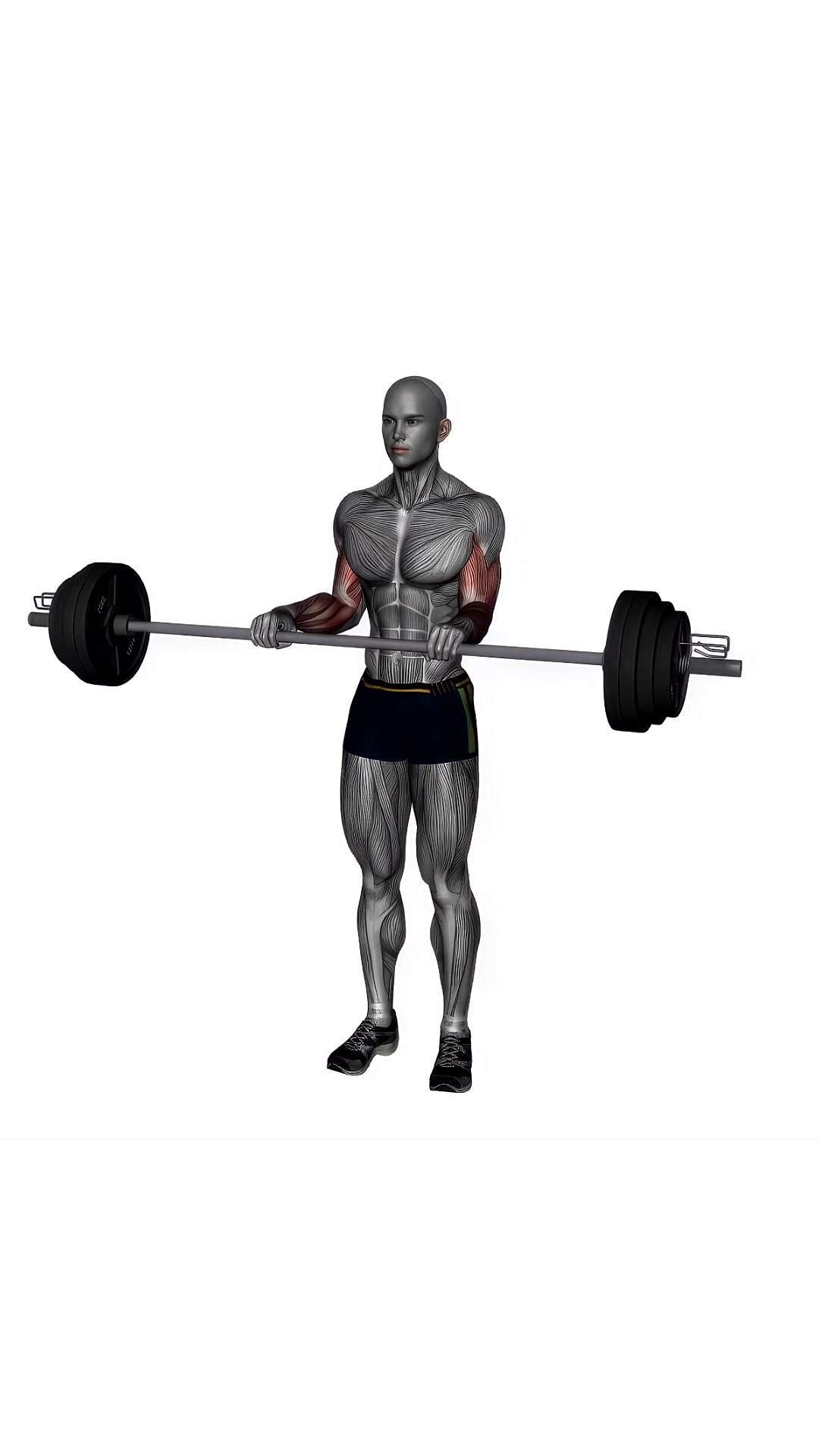 Reverse Curl Barbell