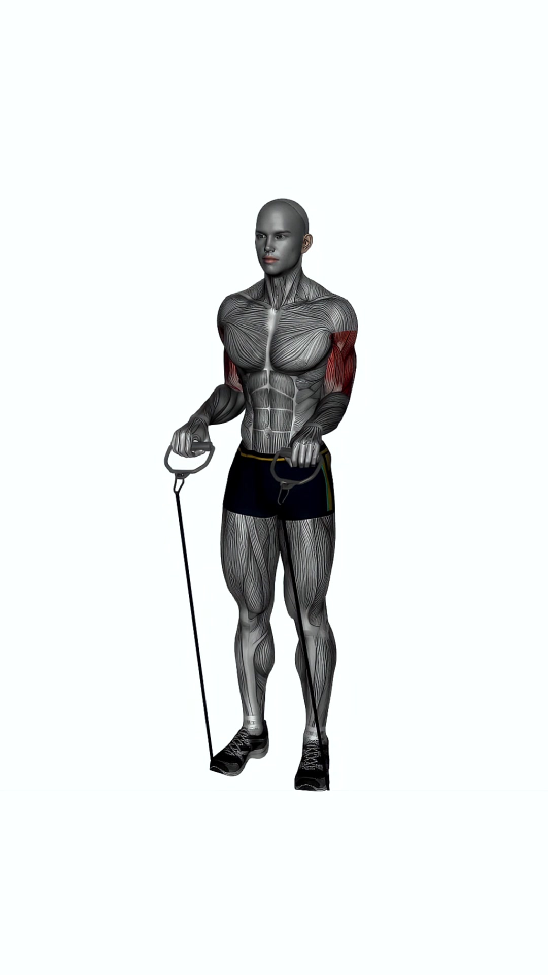Reverse Grip Resistance Band Simultaneous