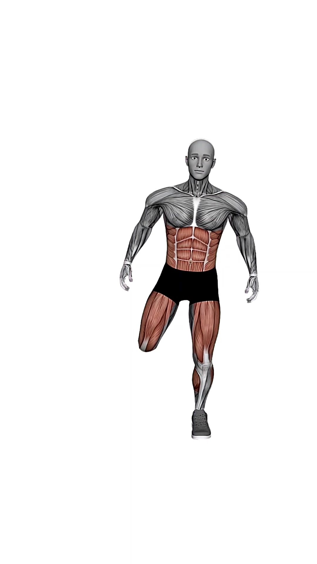 Alternating Hamstring Curl