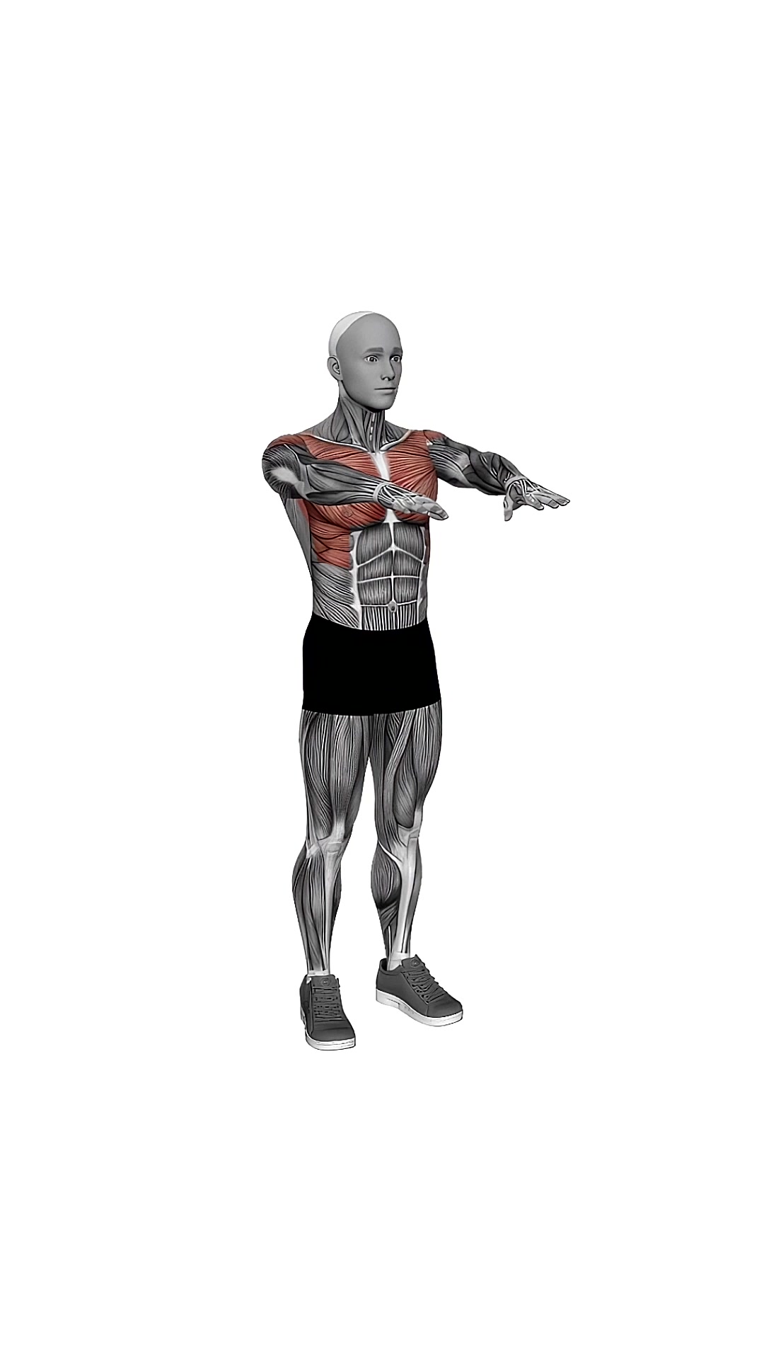 Arm Crossover Chest Out