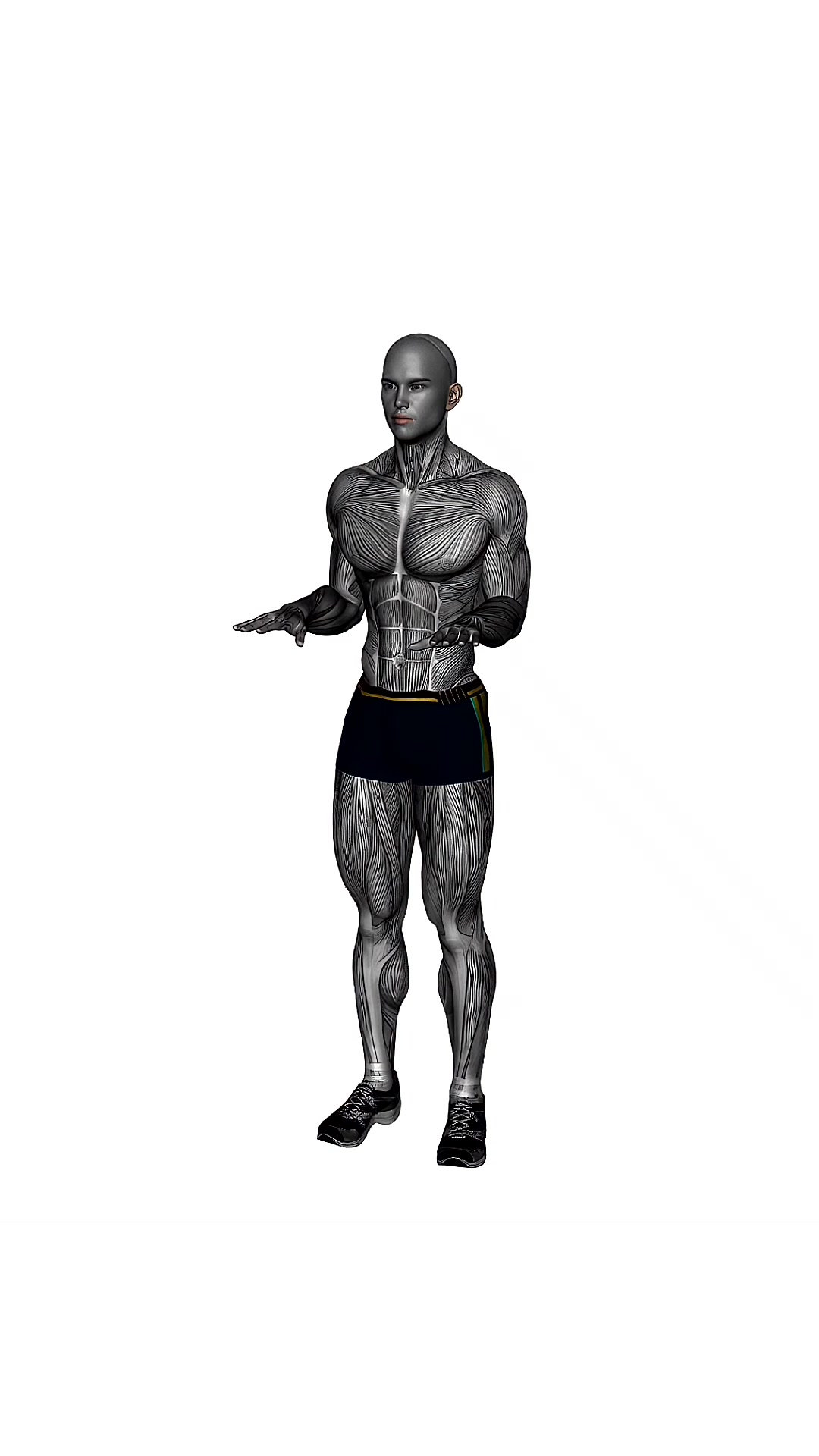 Arm Pulses Palms Downwards