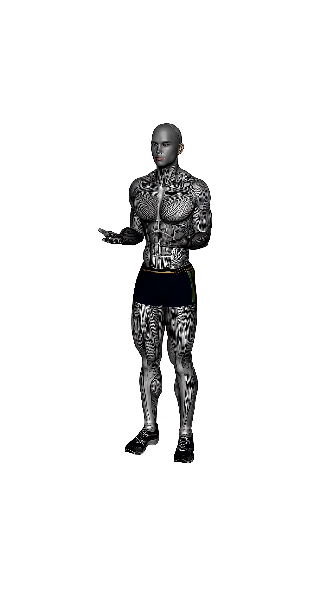 Arm Pulses Palms Upwards