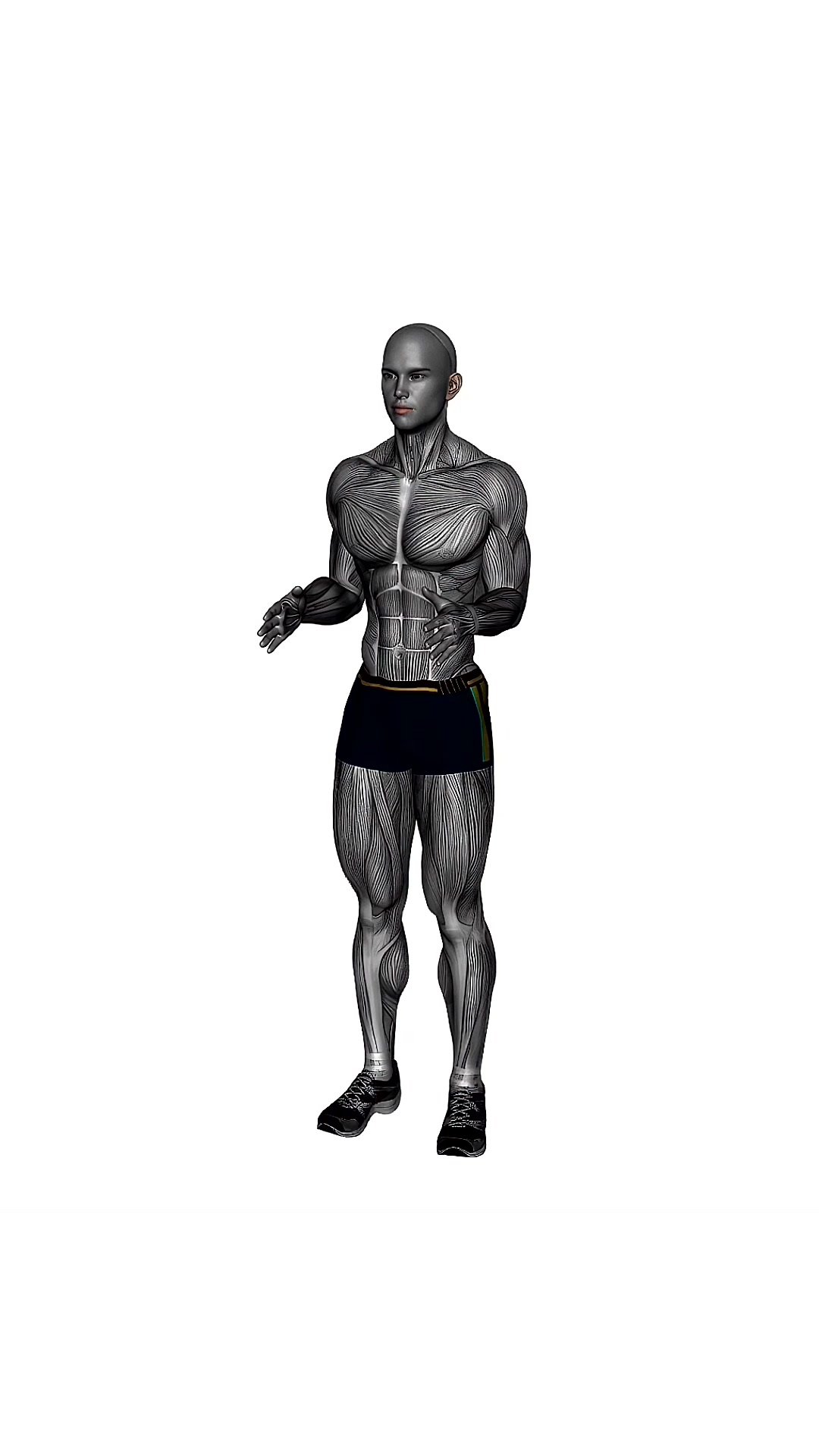 Arm Pulses