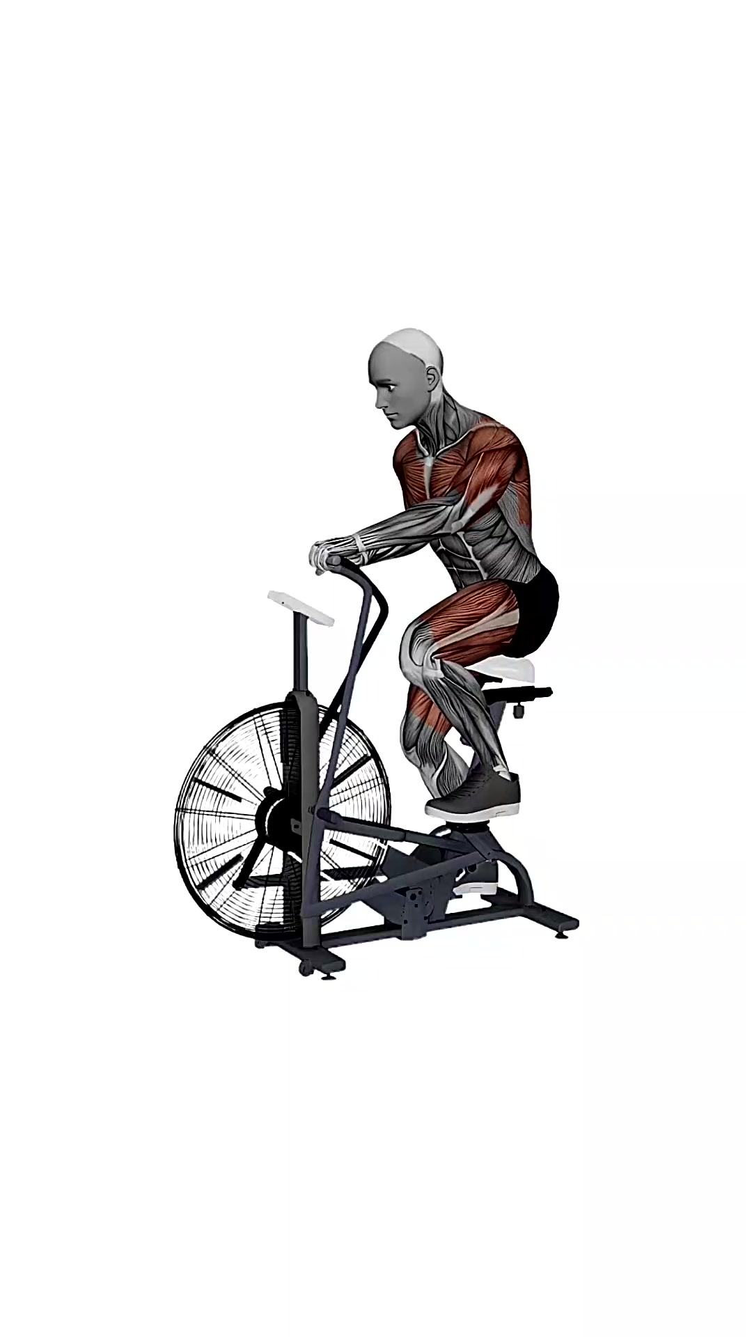 Assault Airbike Fast Speed