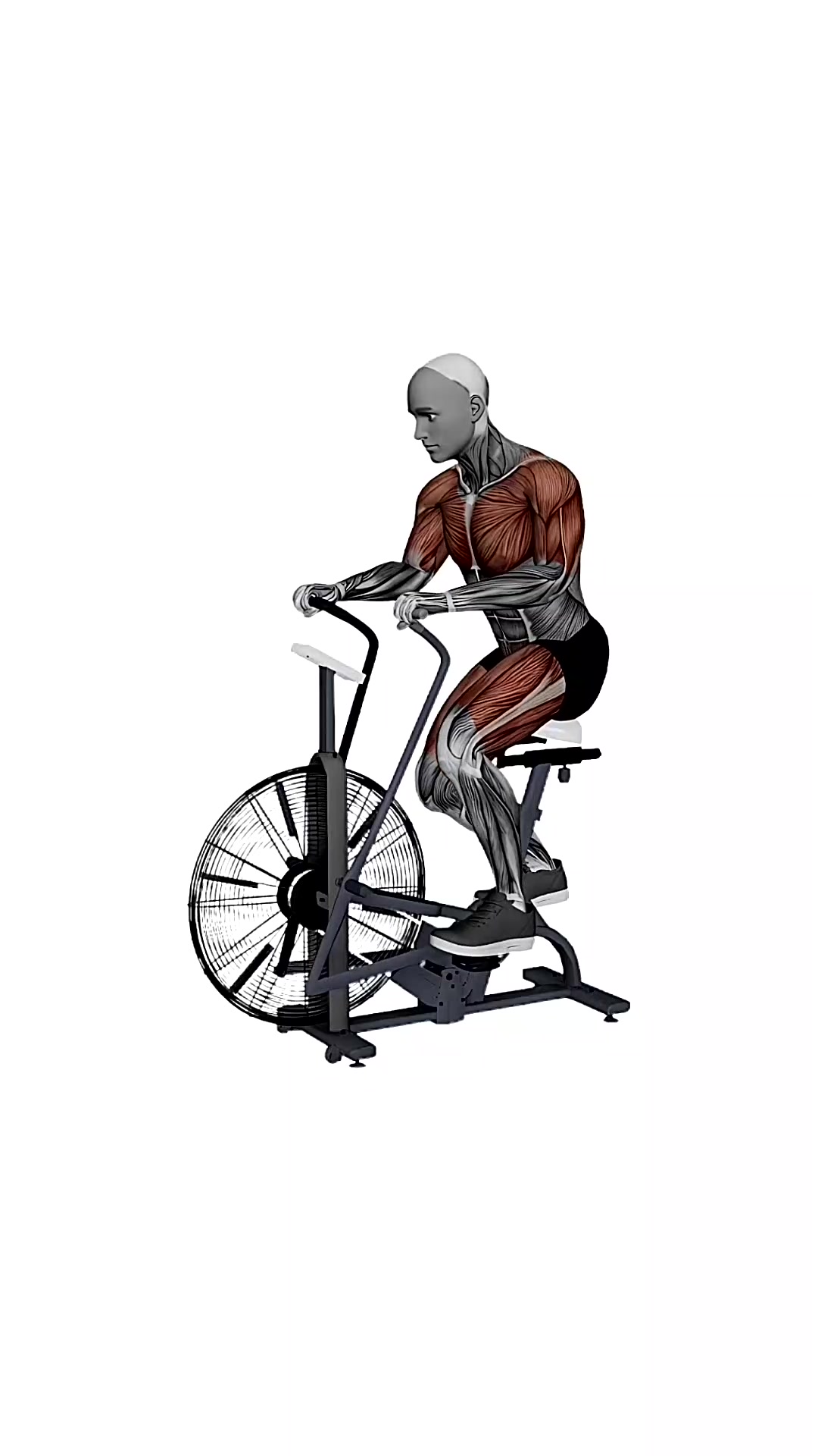 Assault Airbike Normal Speed