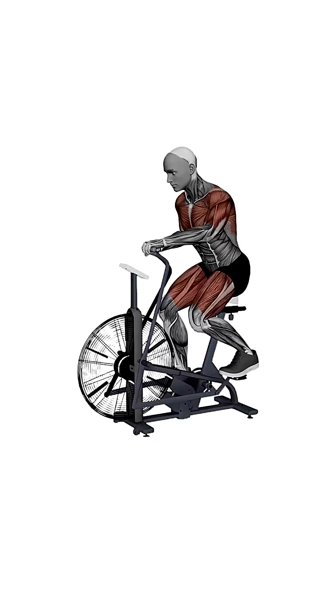 Assault Airbike Sprint Speed