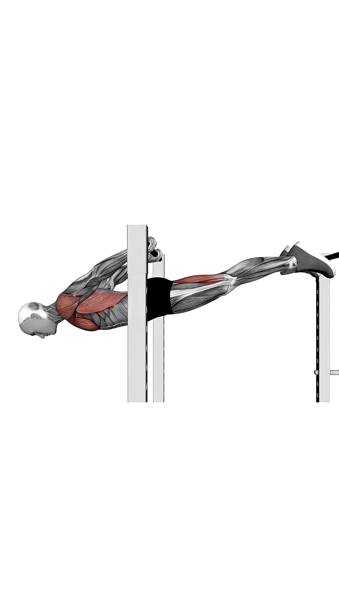 Back Lever