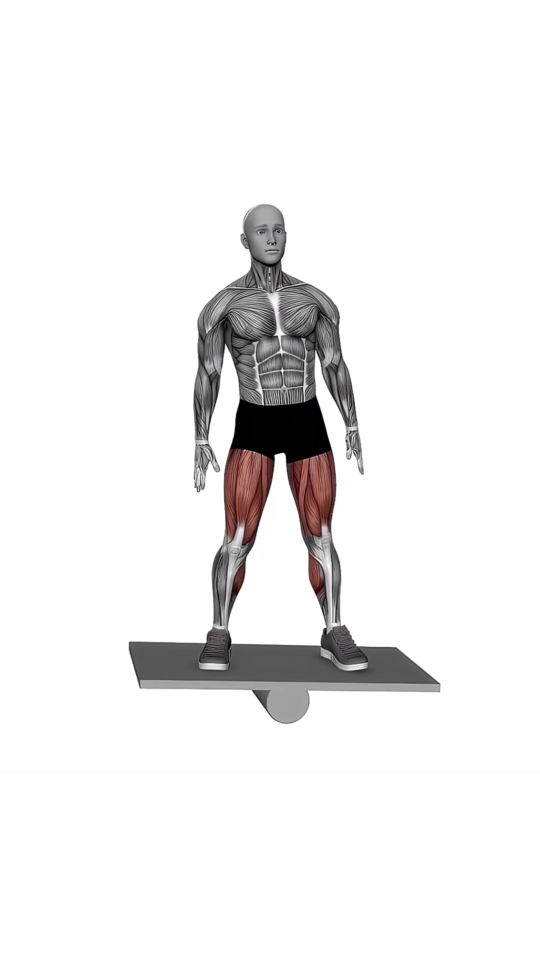 Balance Board Lateral Squat