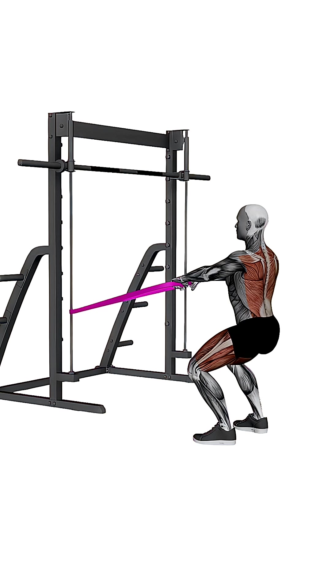 Band Squat Row