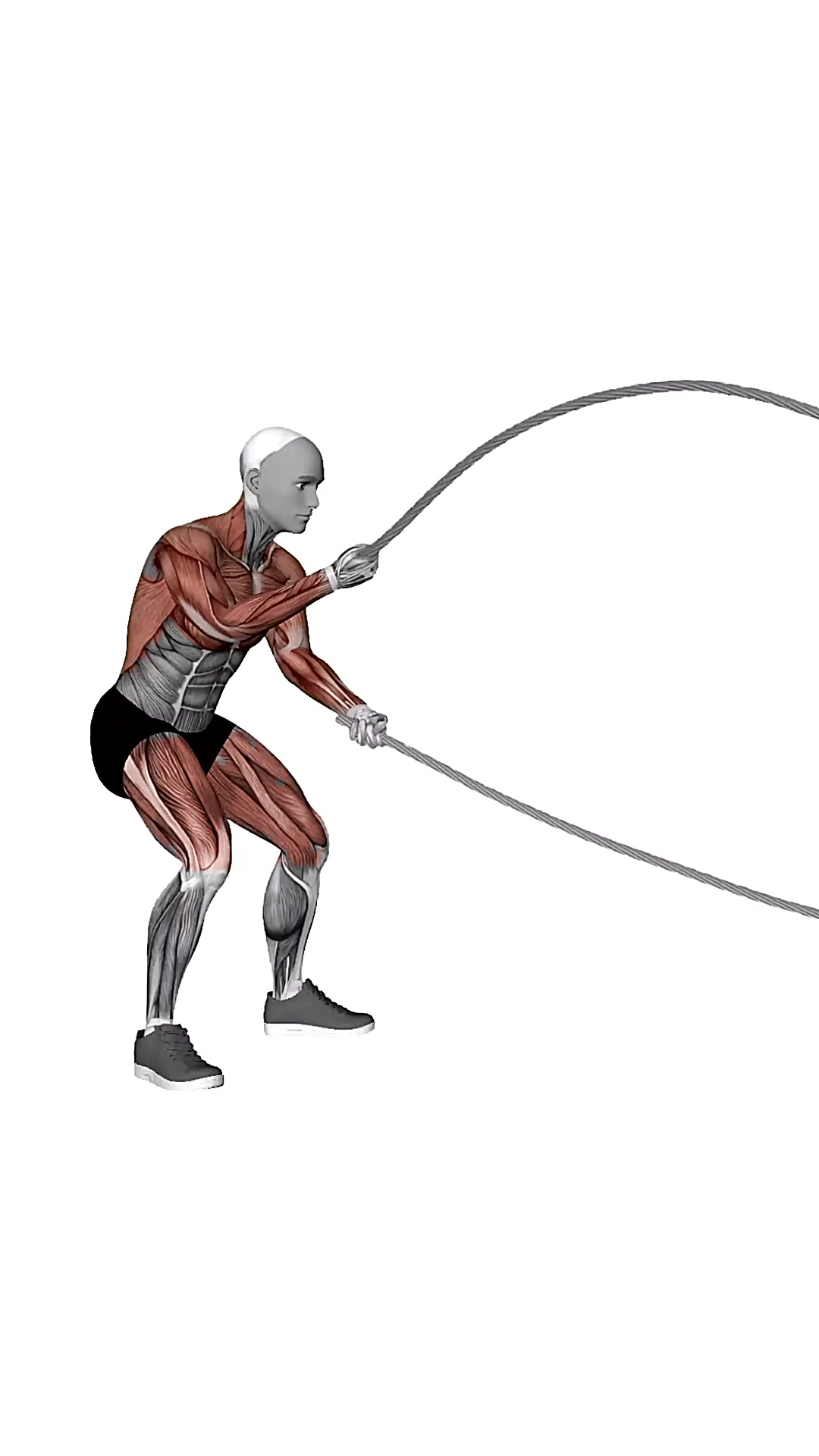 Battle Rope Alternating Arm Waves