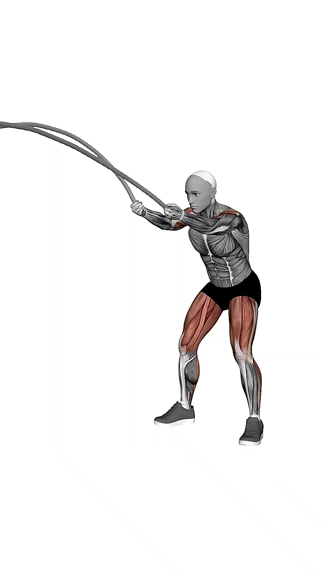 Battle Rope Double Arm Slams