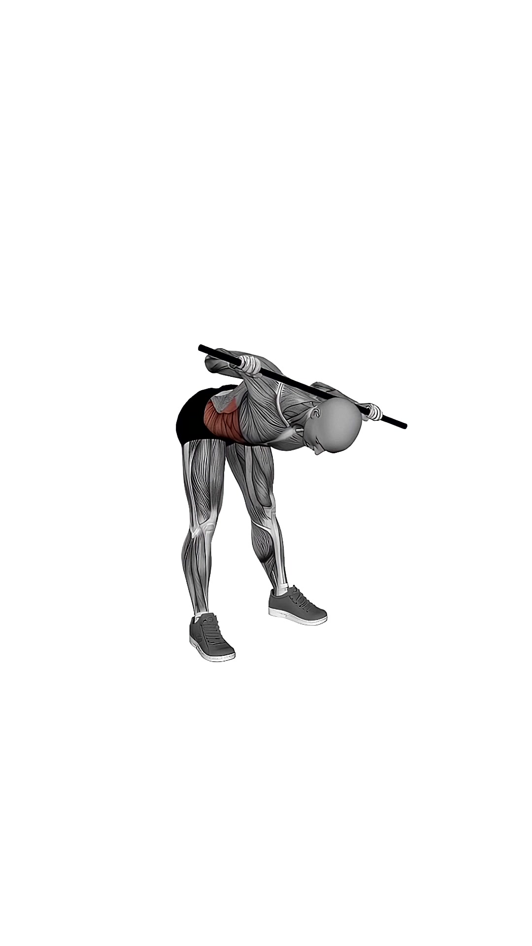 Bent Over Twist
