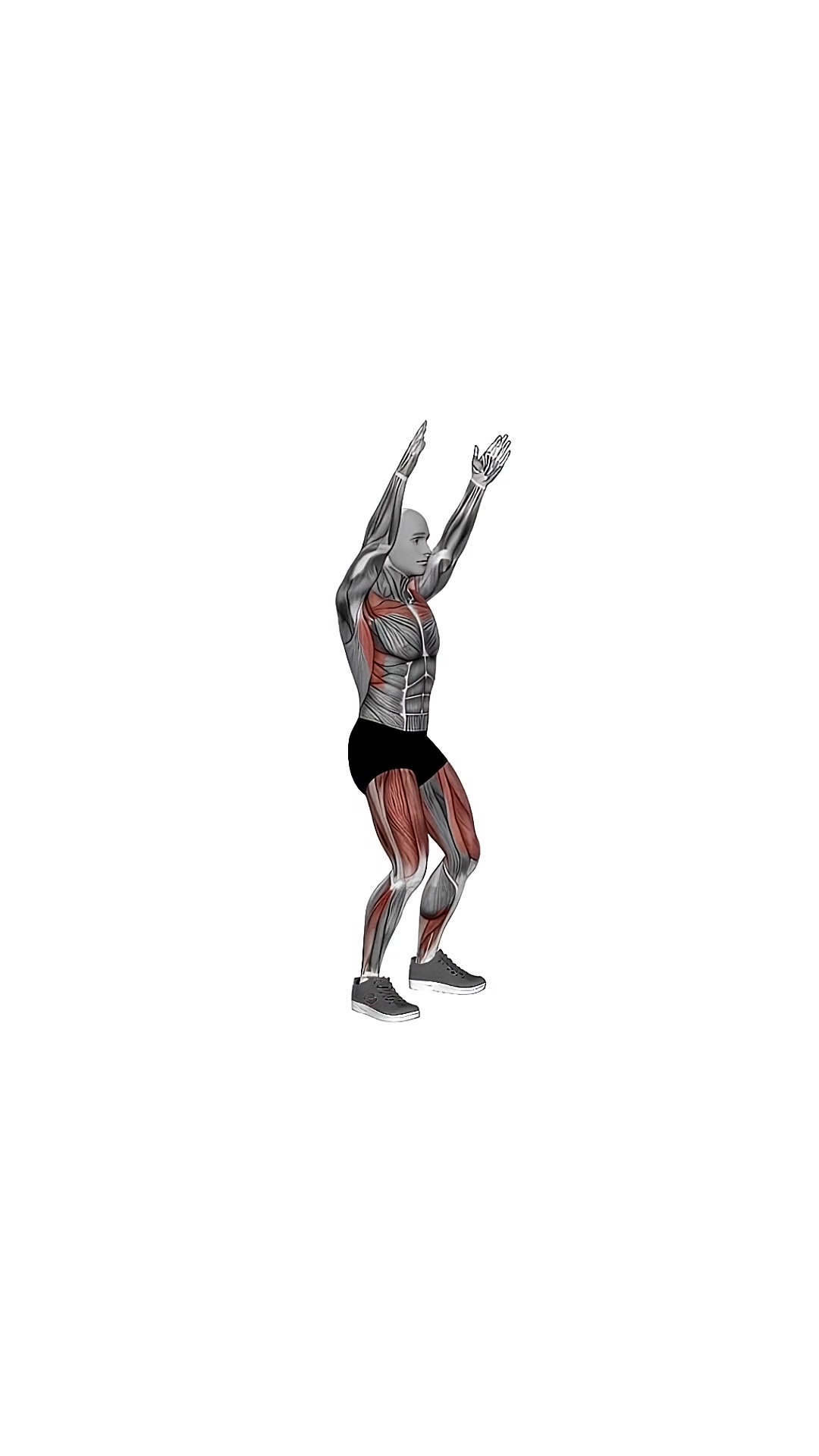Body Throw