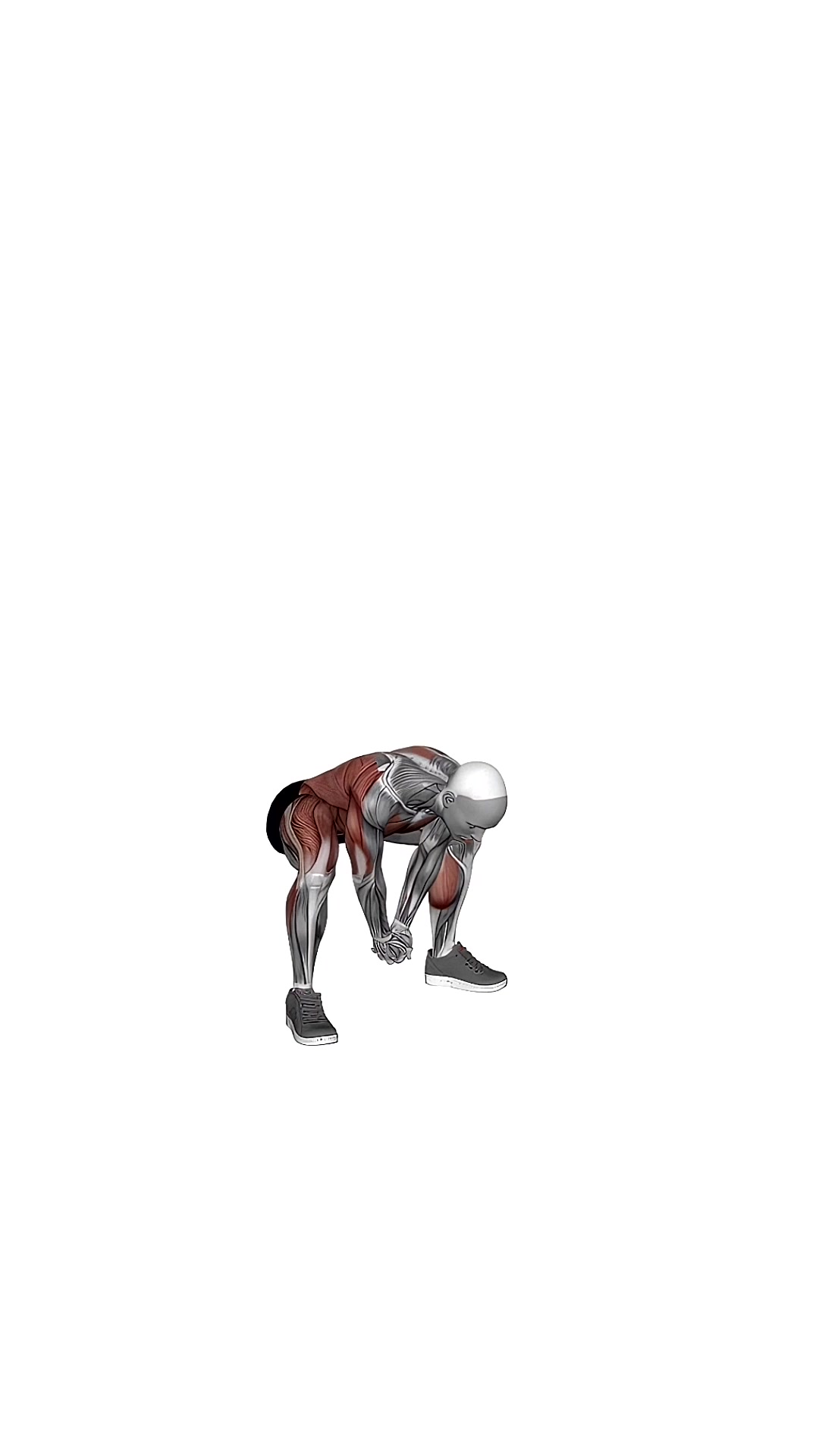Bodyweight Front Slam