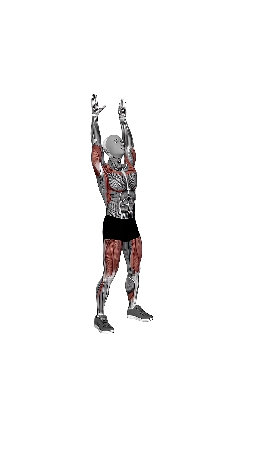 Bodyweight Full Squat With Overhead Front Raises