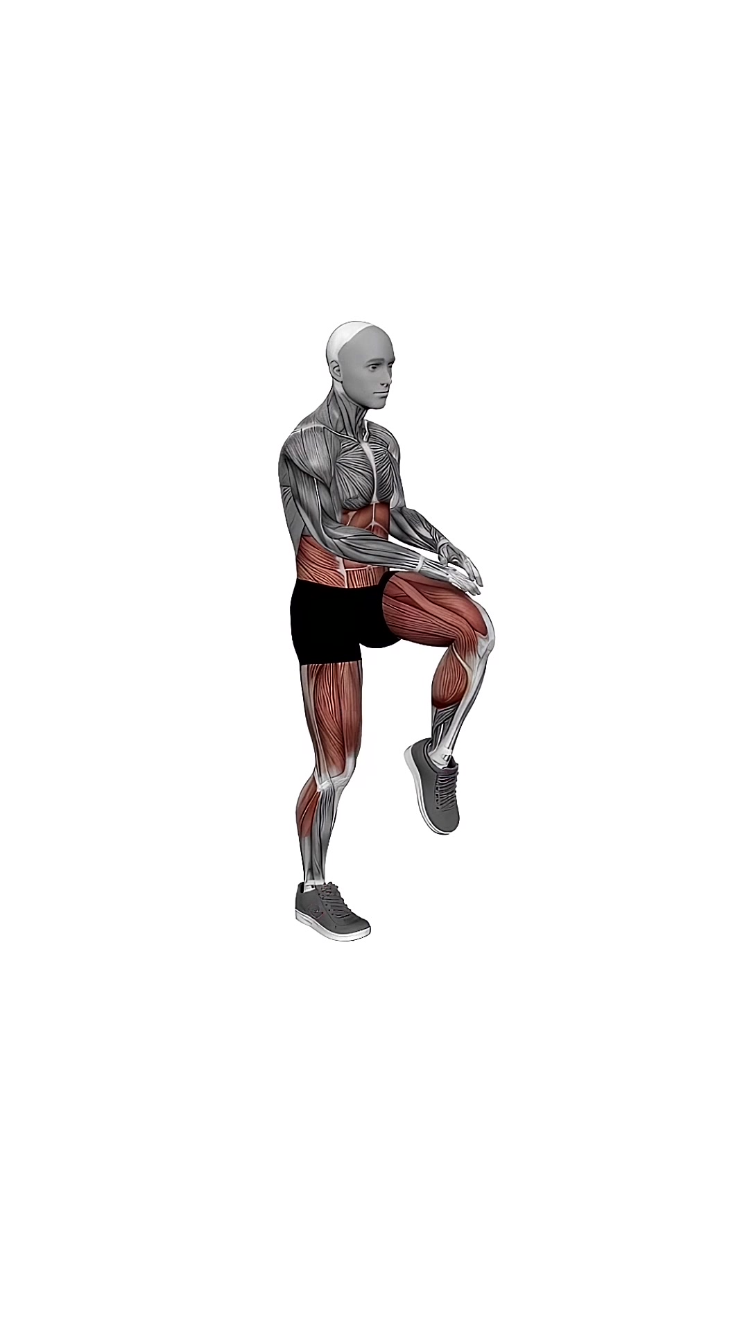 Bodyweight Knee Thrust