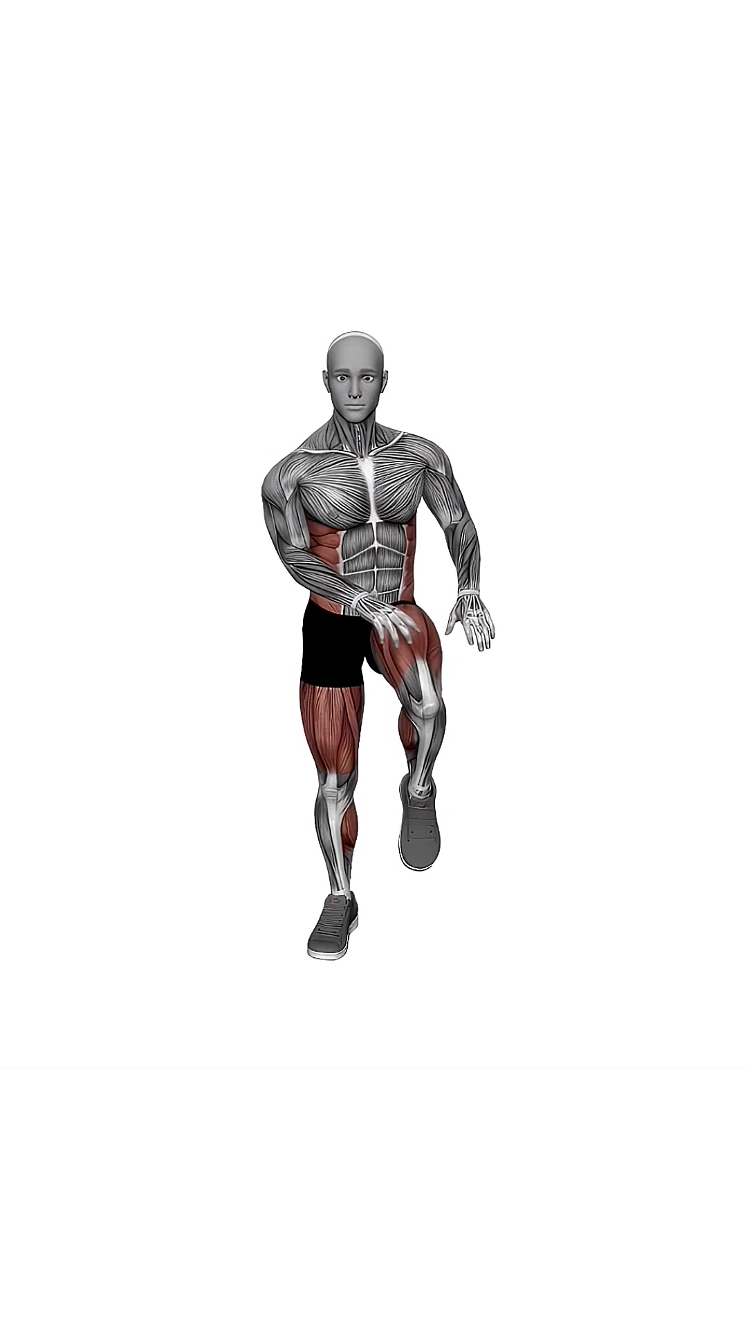 Bodyweight Knee To Hand Tap