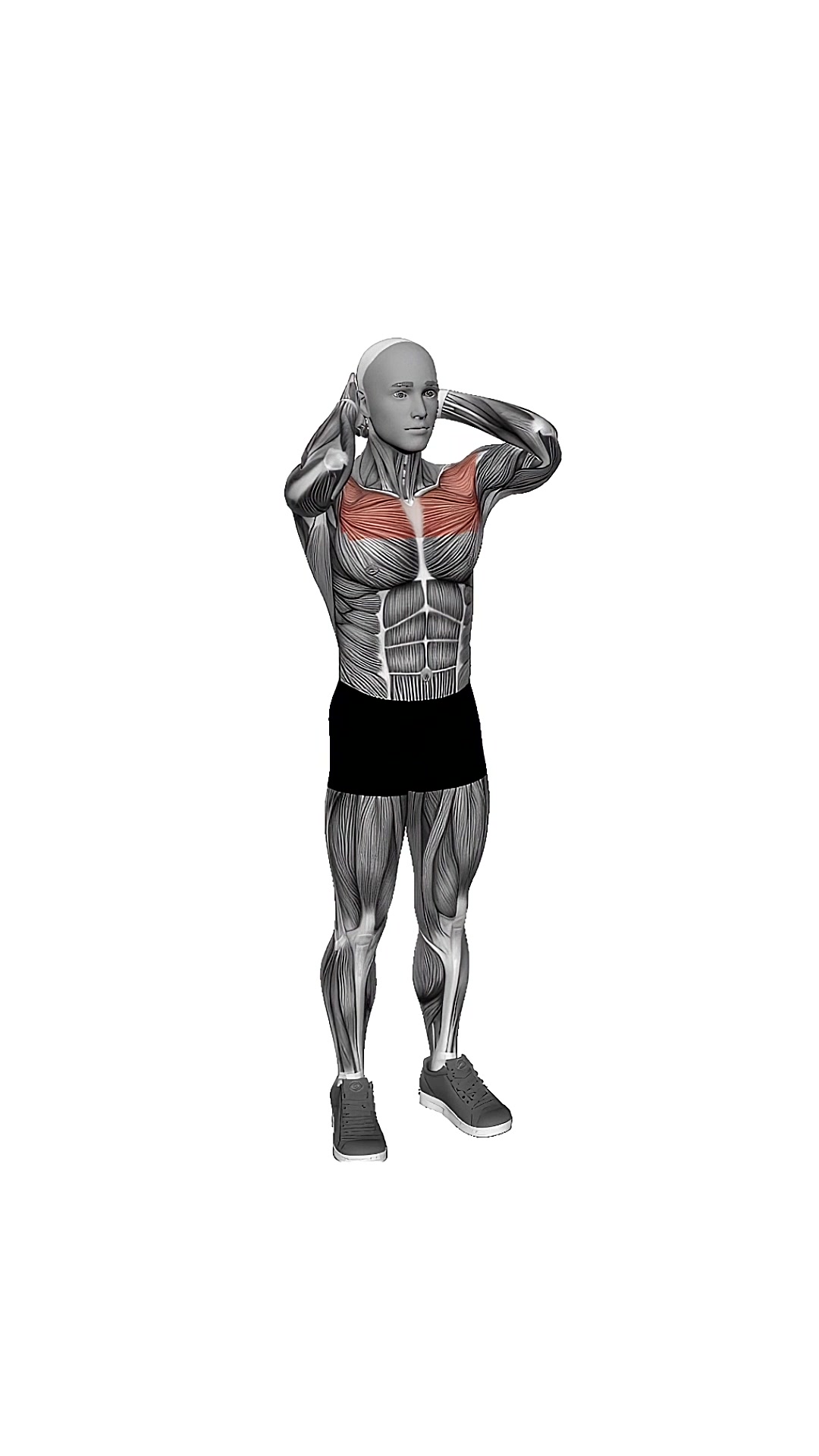 Bodyweight Standing Triangle Fly