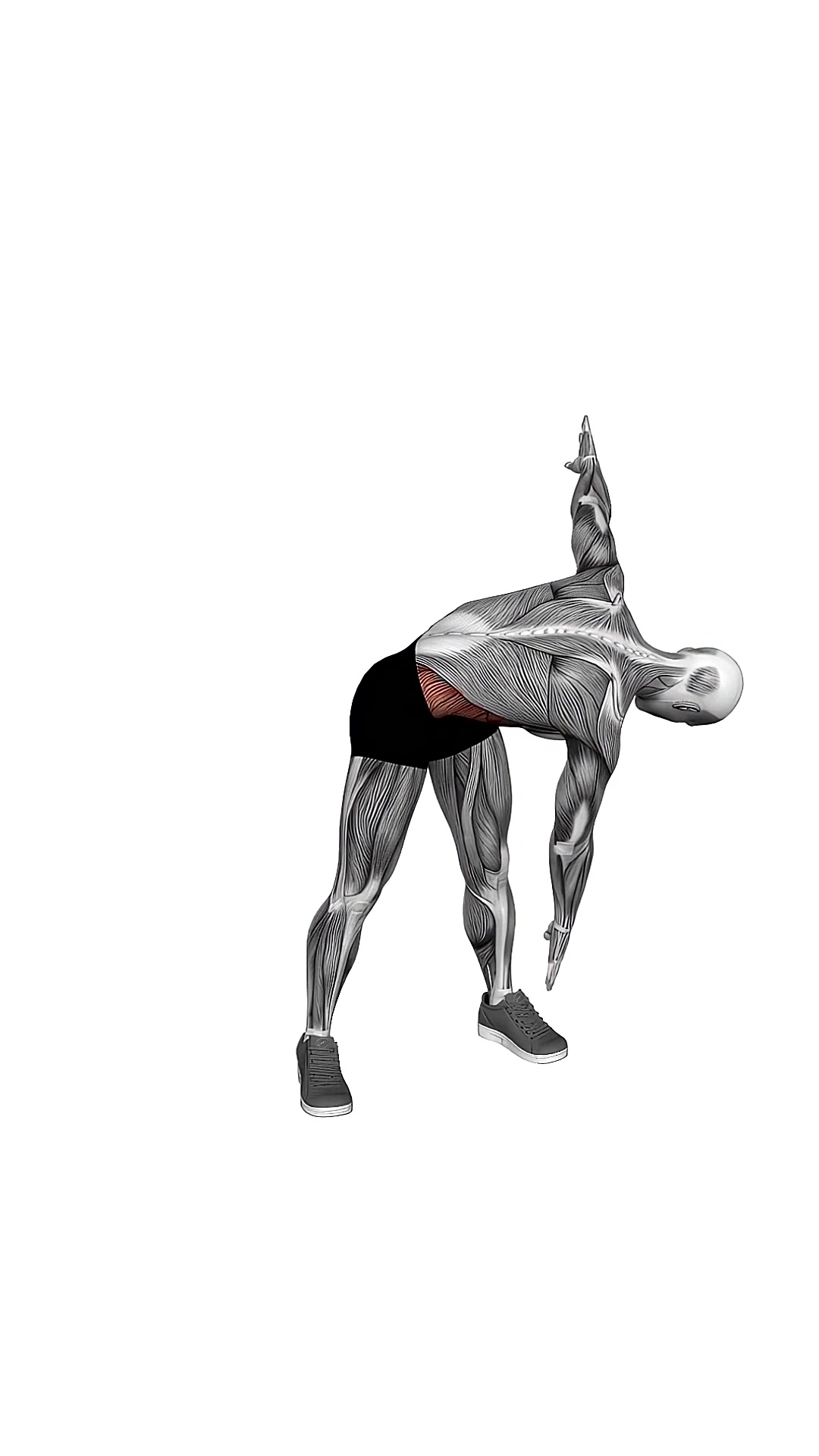 Bodyweight Windmill