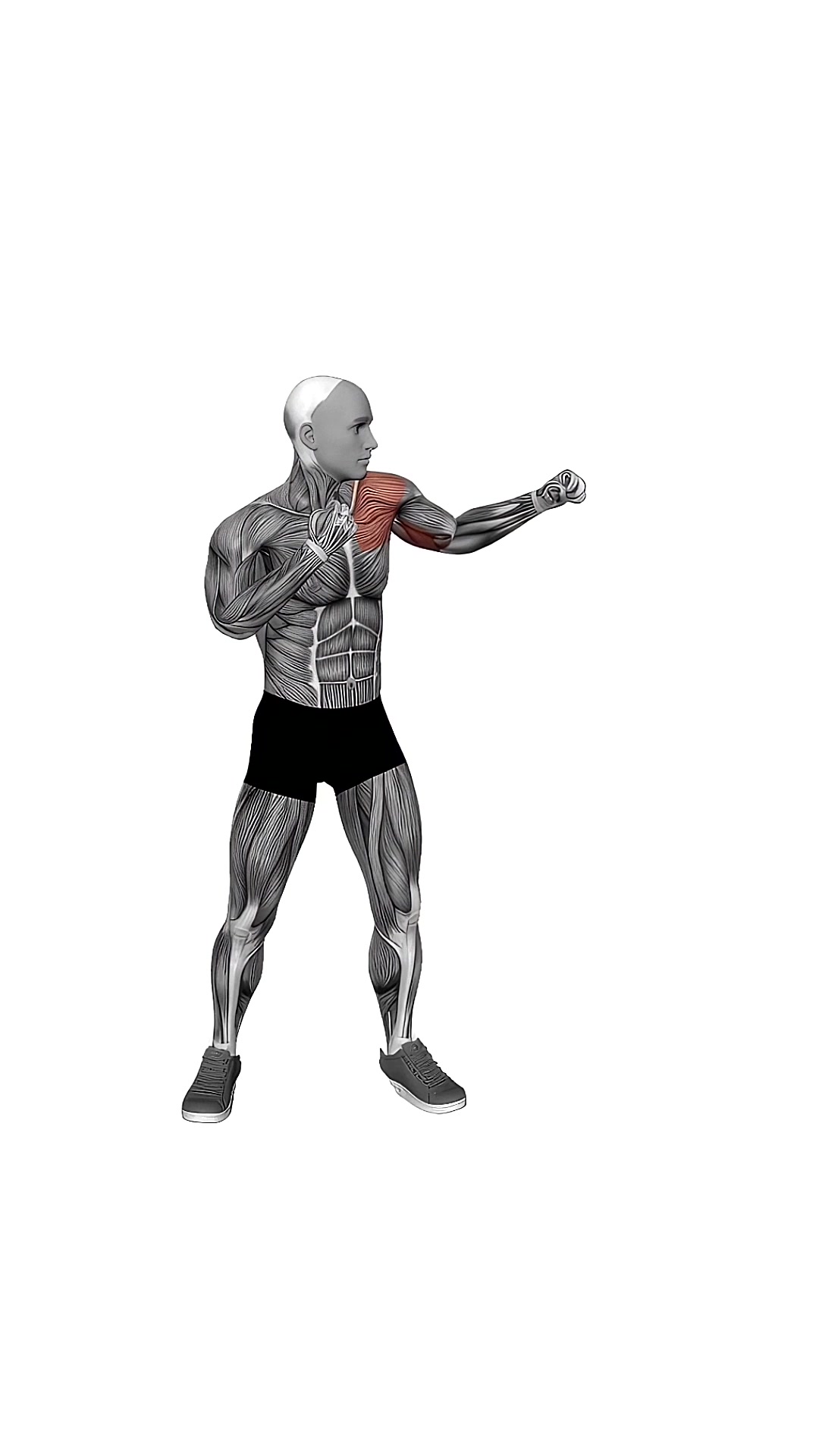 Boxing Jab
