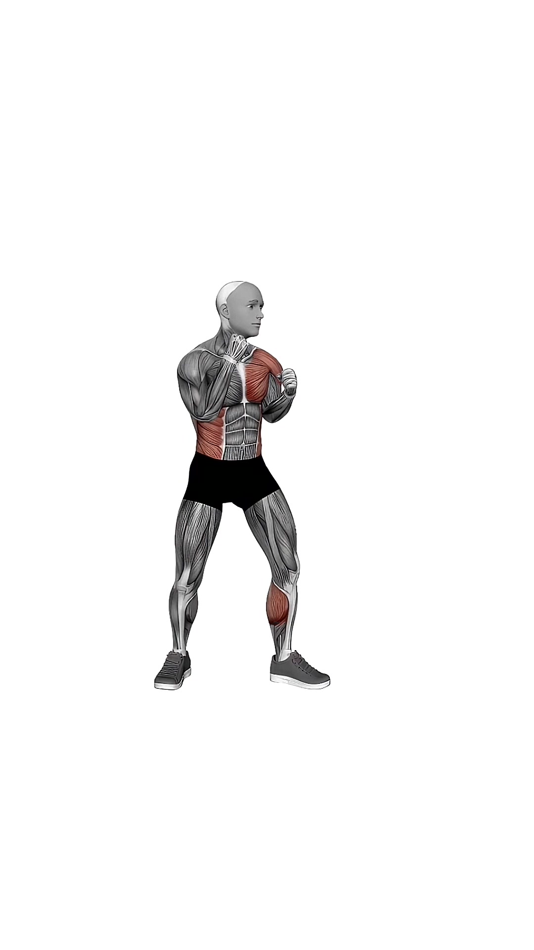 Boxing Left Hook
