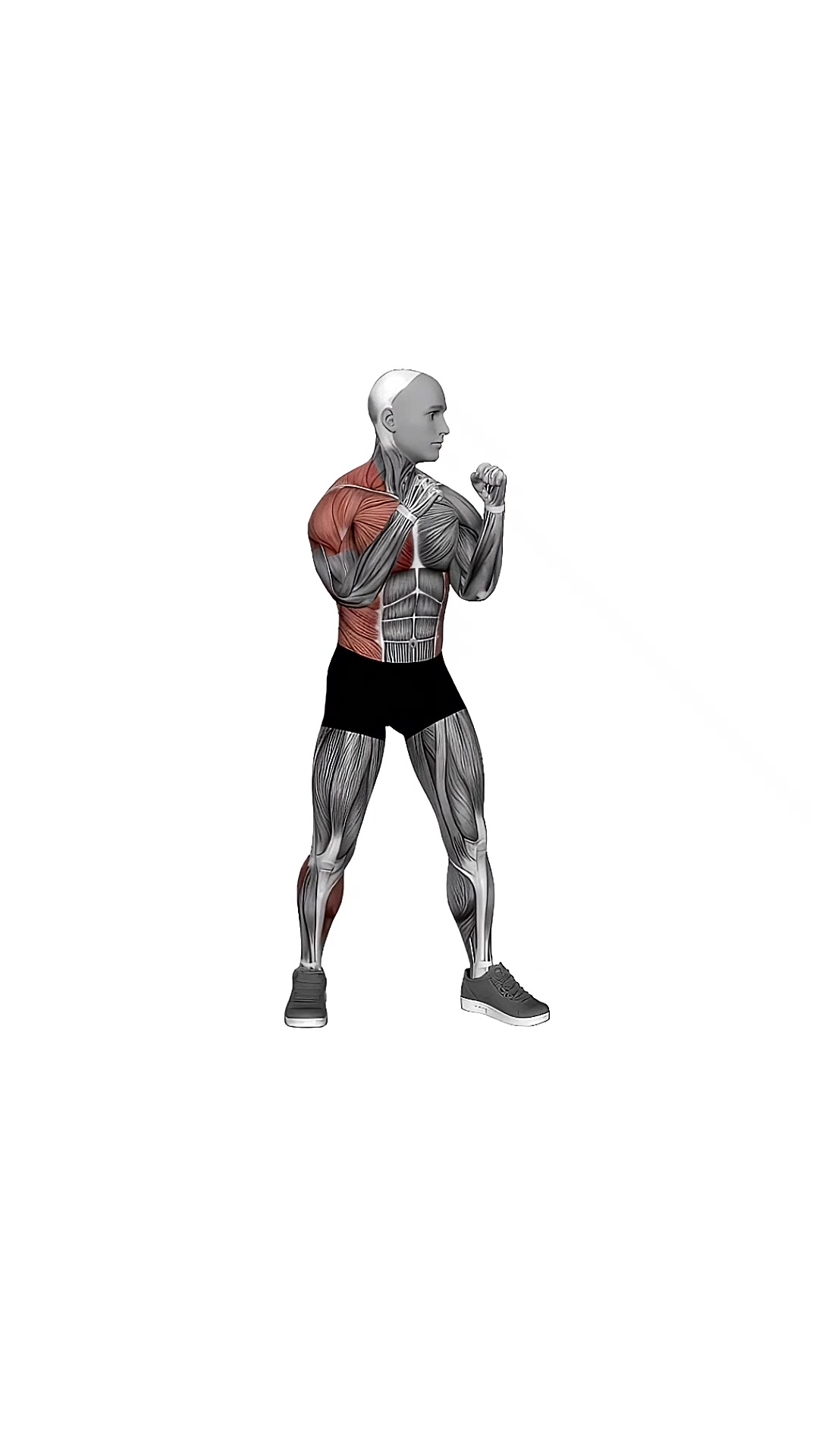 Boxing Right Cross