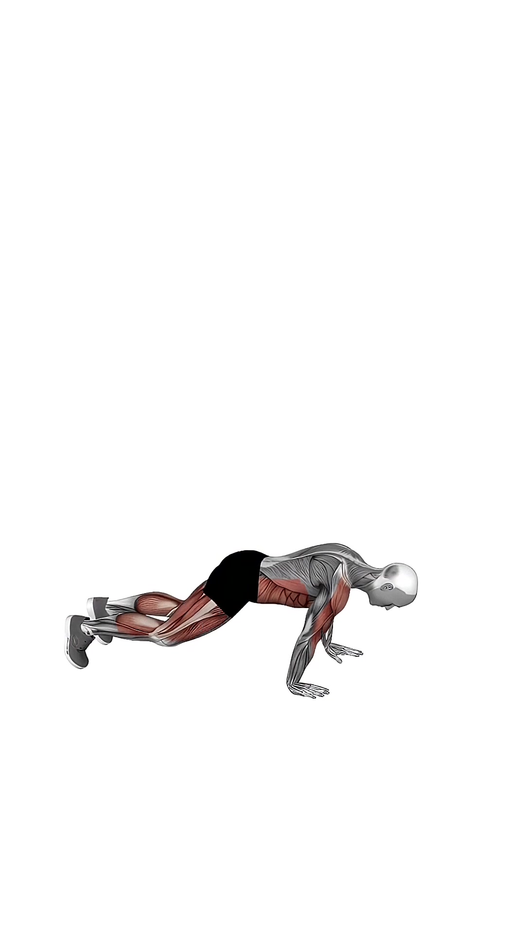 Burpee