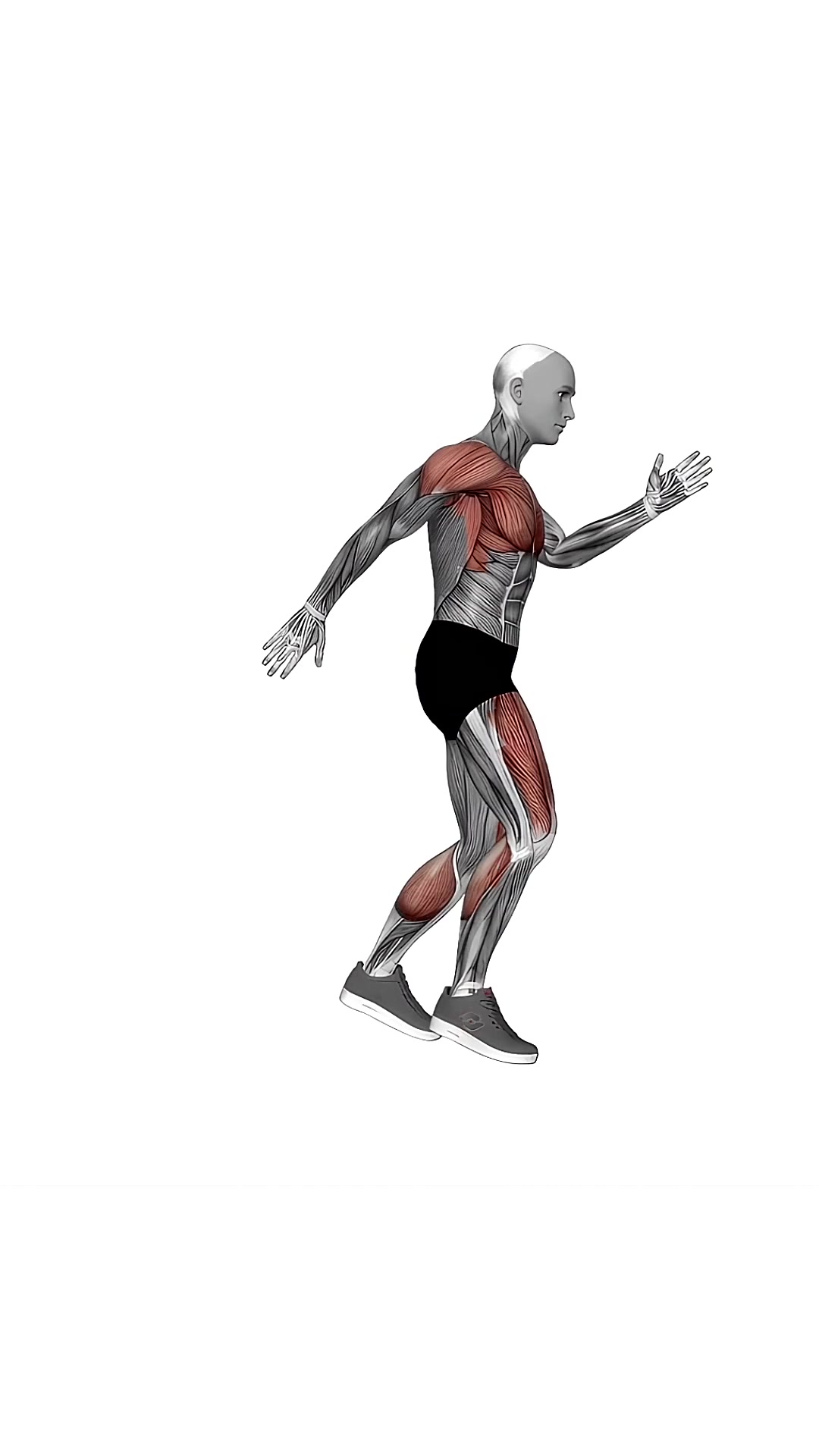 Cardio Lunge