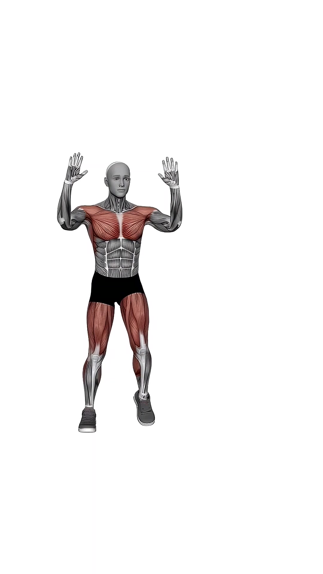 Chest Fly Side Step
