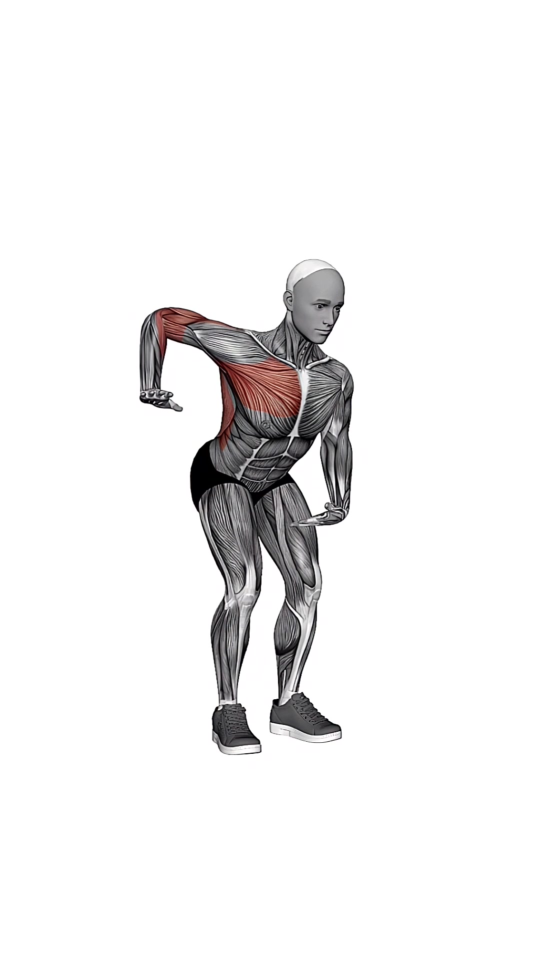 Chest Pull Back
