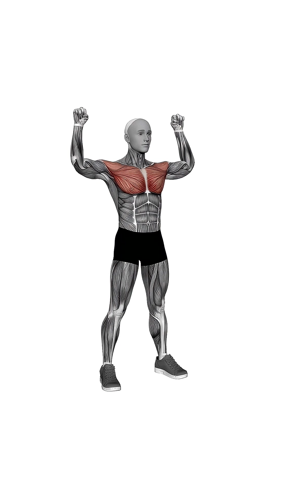 Chest Raise And Rotate