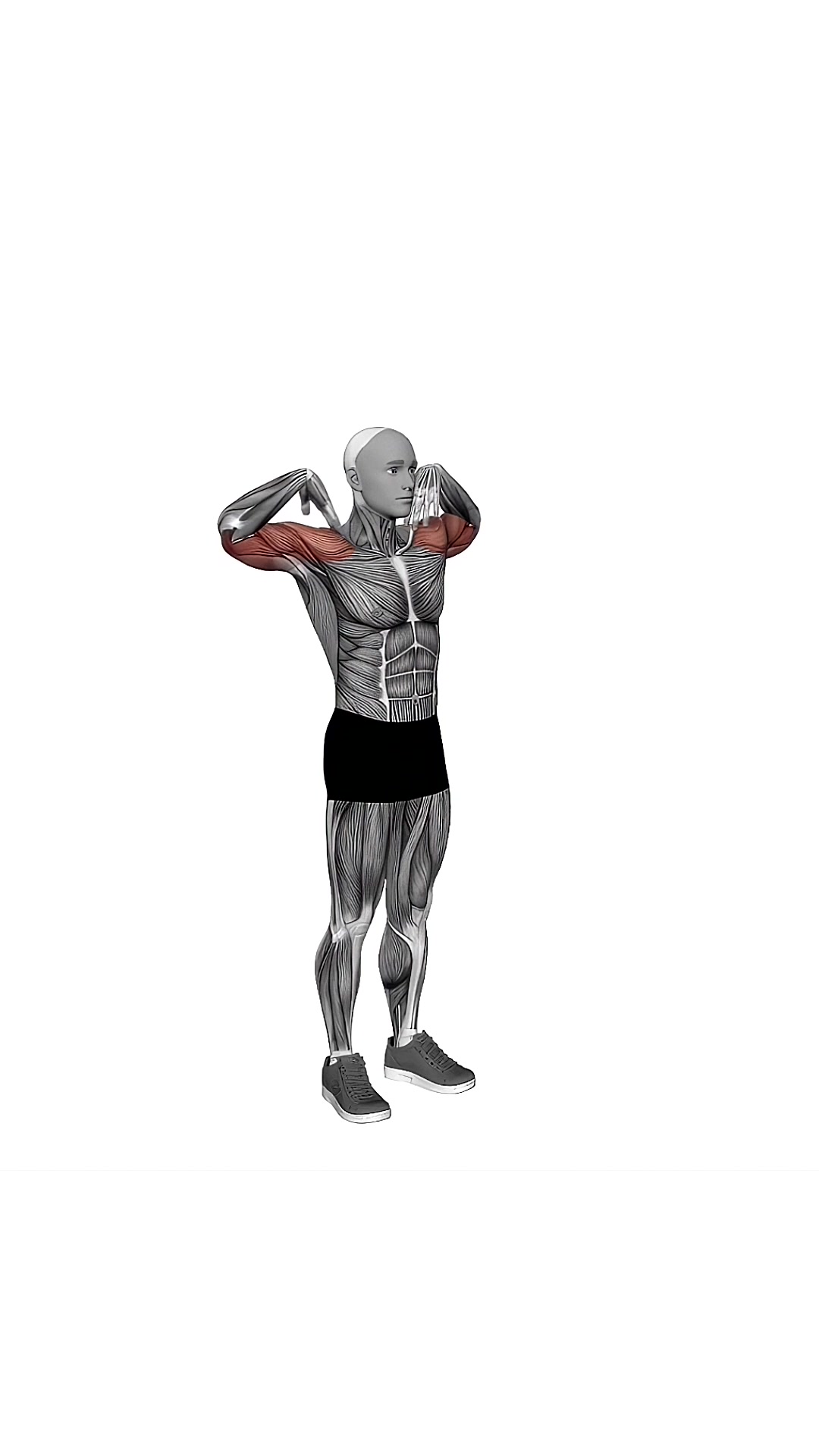 Circle Elbow Arm