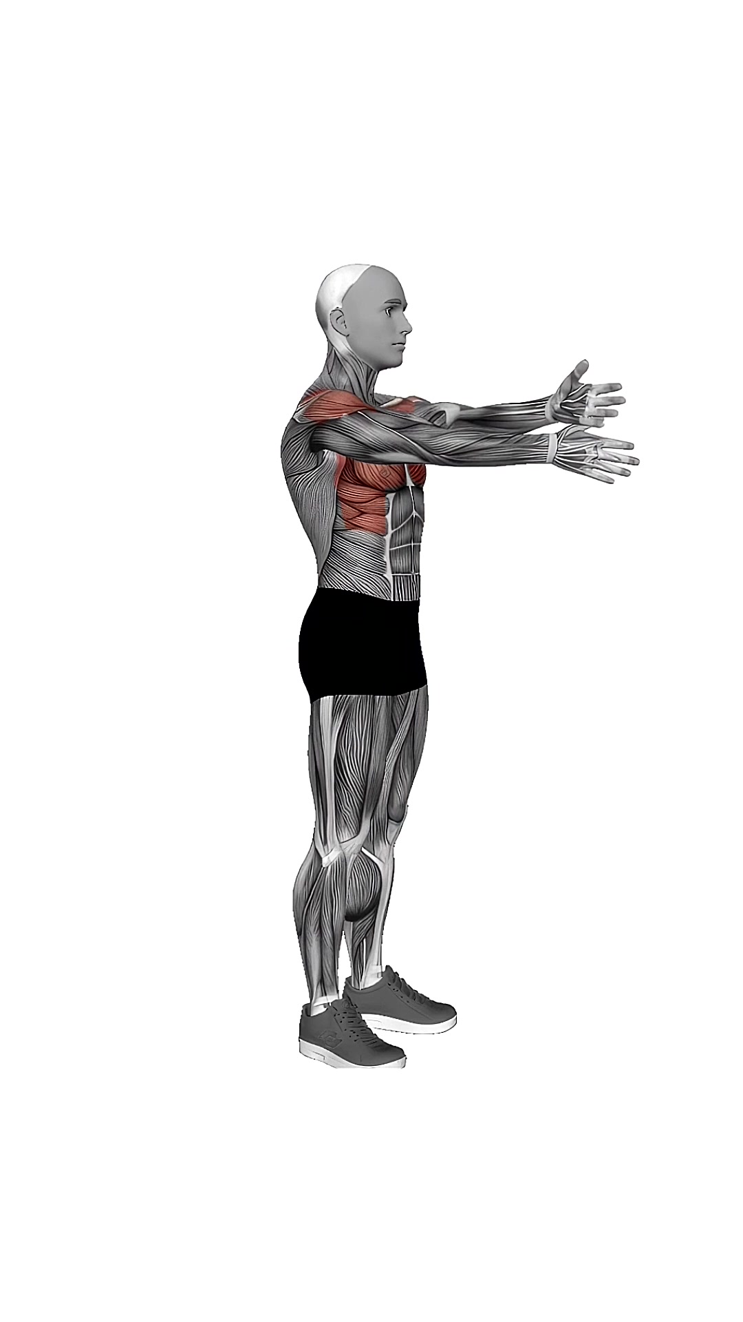 Criss Cross Arms Lift