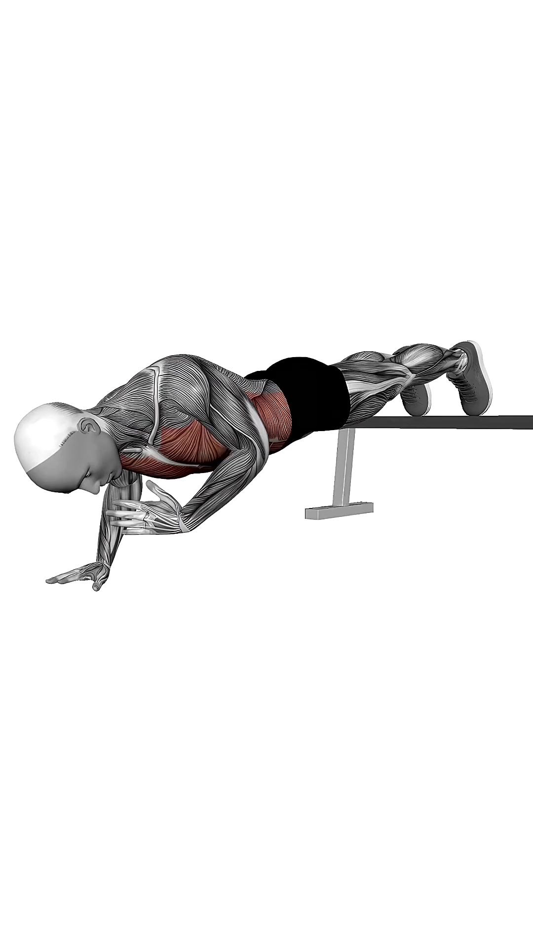 Decline Shoulder Tap