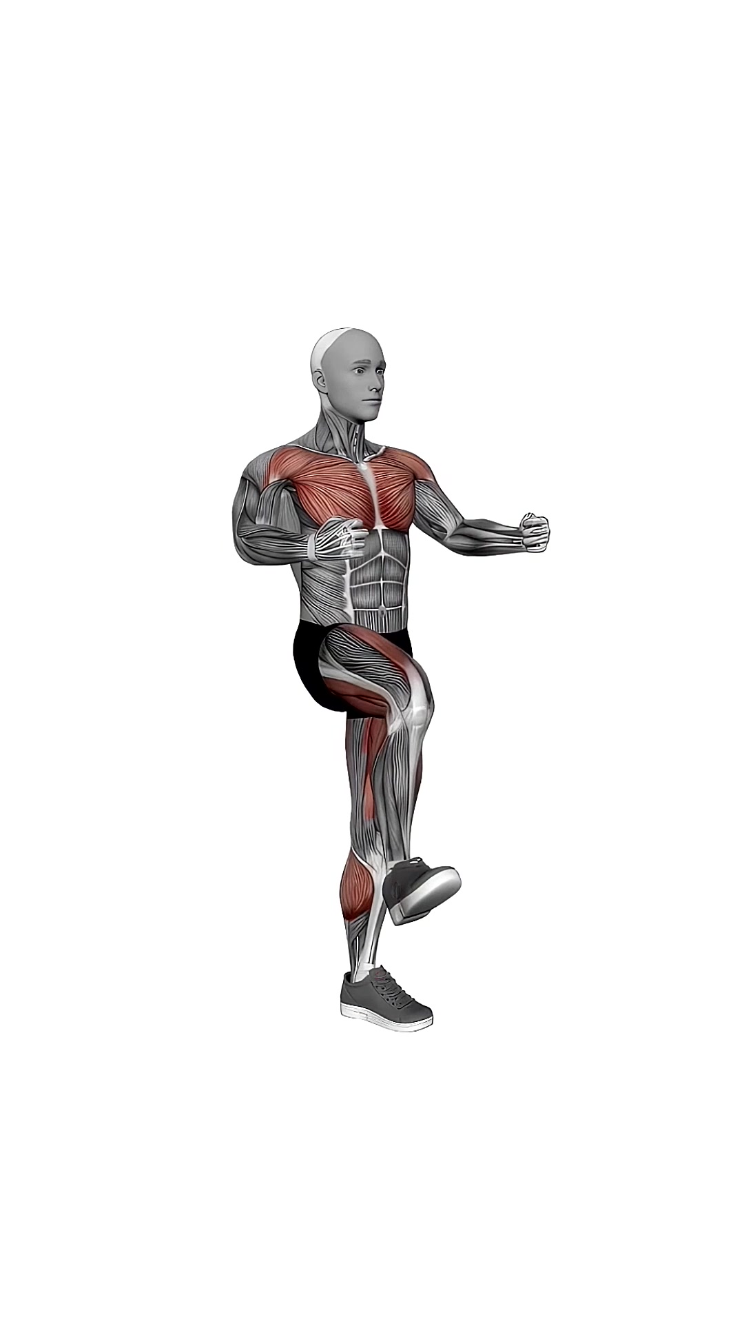 Double Punch Front Leg Lift