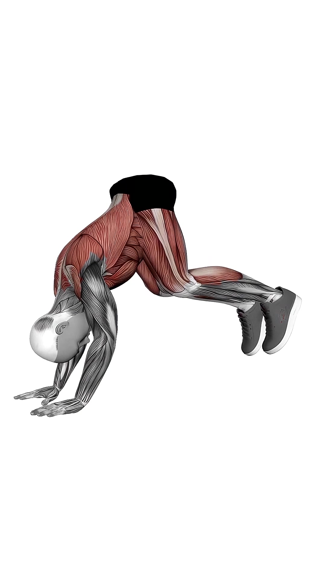 Downward Dog Sprint