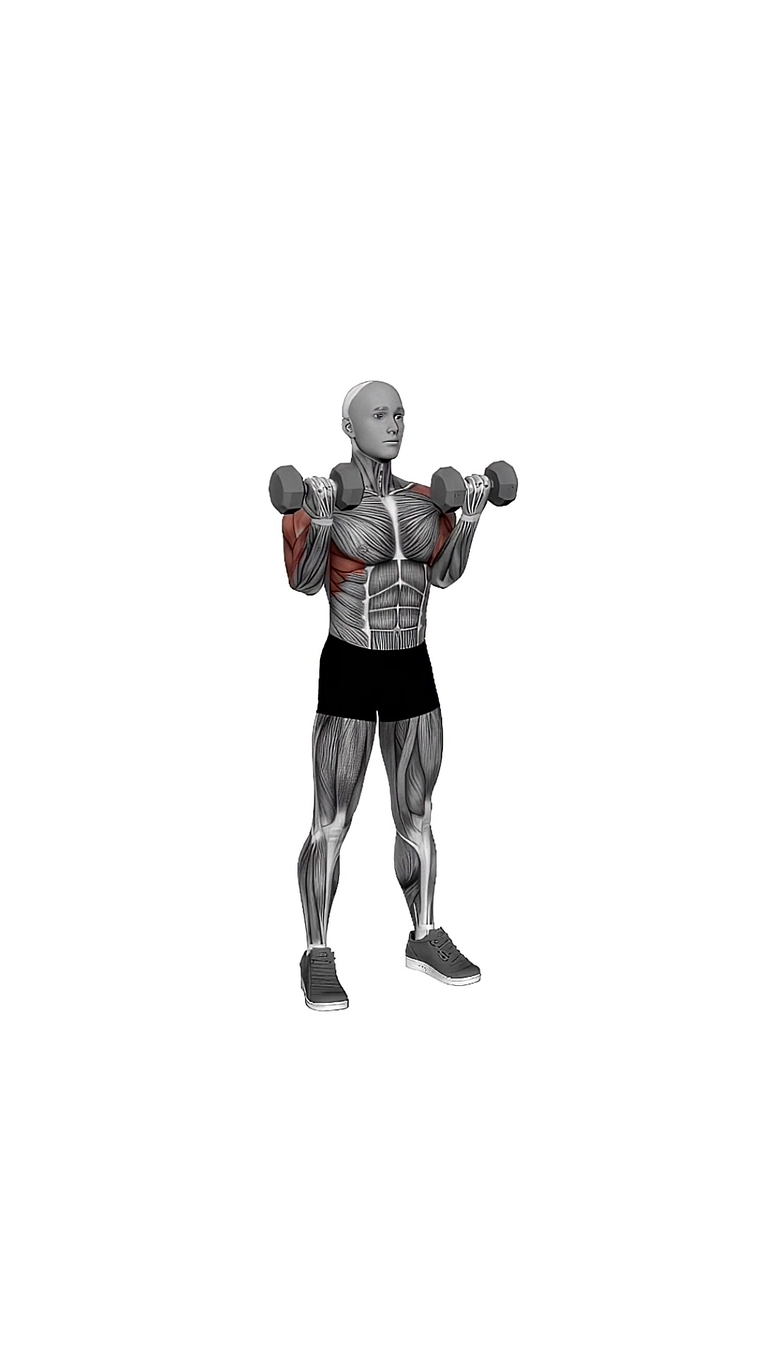 Dumbbell Curl Press Extend